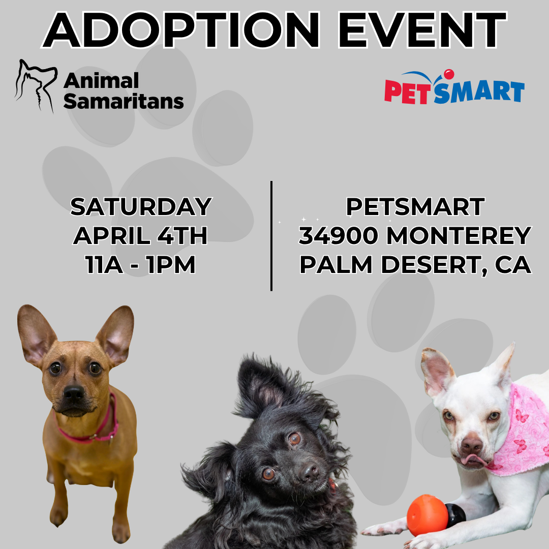 PetSmart Adoption Event with Animal Samaritans 