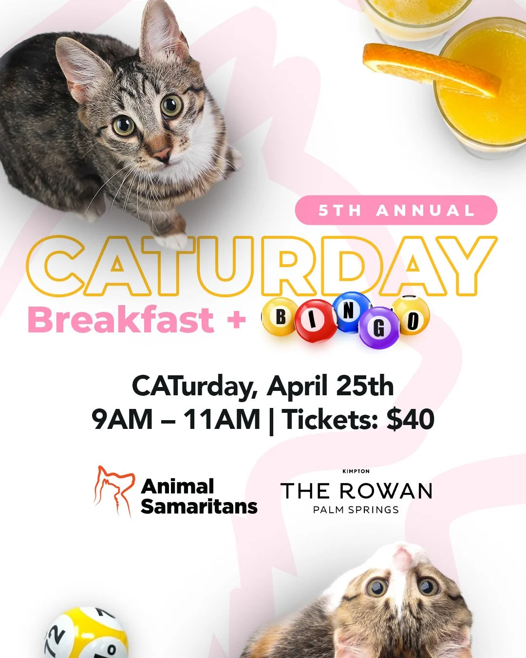 5th Annual CATurday Breakfast + BINGO 