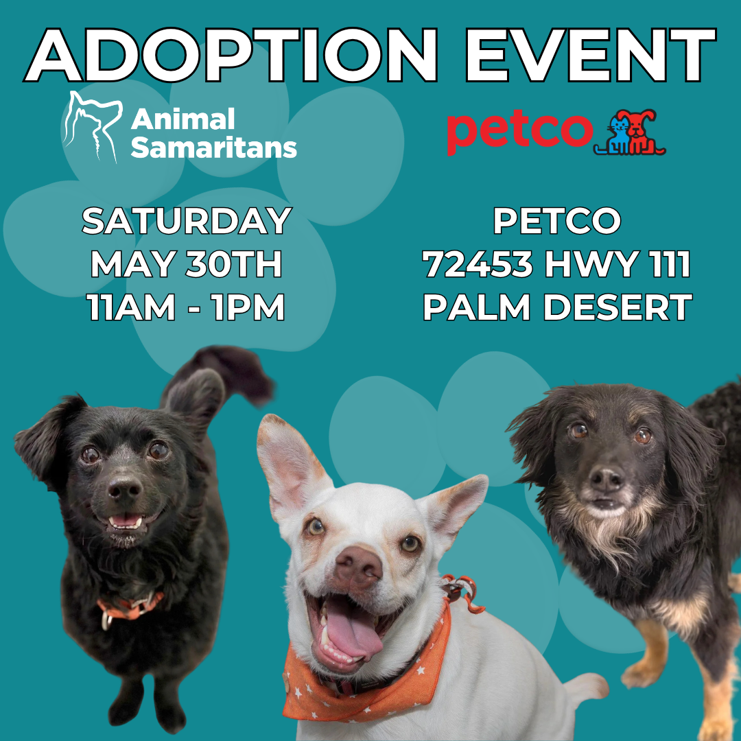 PetCo Adoption Event with Animal Samaritans