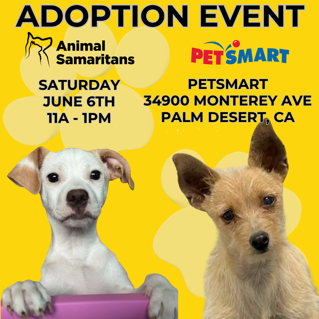 PetSmart Adoption Event with Animal Samaritans