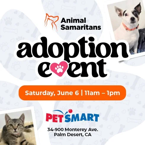 PetSmart Adoption Event with Animal Samaritans
