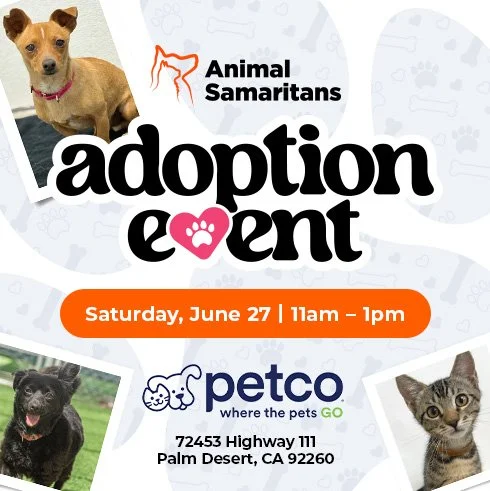 PetCo Adoption Event with Animal Samaritans 
