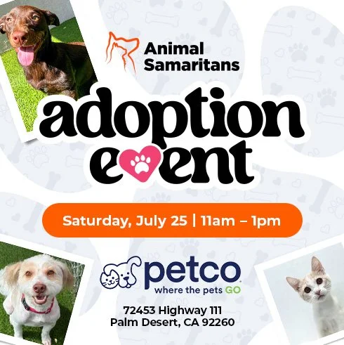 Petco Adoption Event