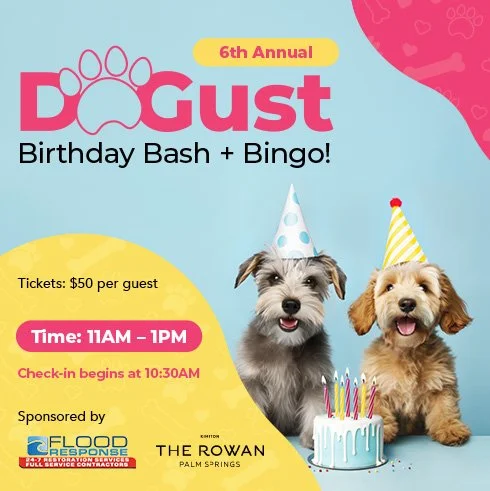 6th Annual DOGust Birthday Bash + BINGO