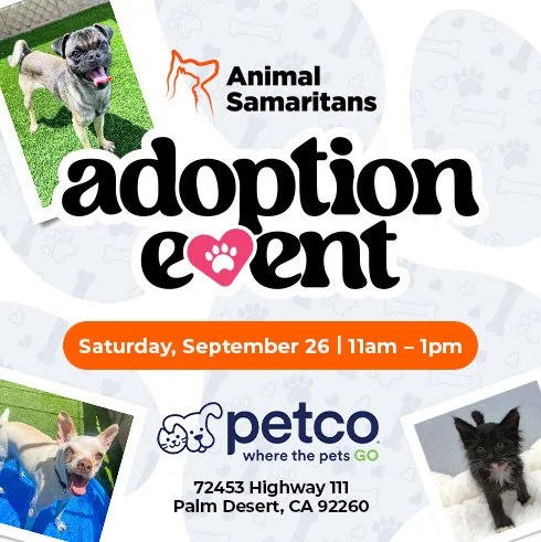 PetCo Adoption Event 