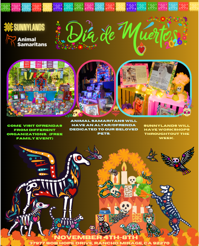 Dia de los Muertos Pet Ofrenda at Sunnylands Center & Gardens