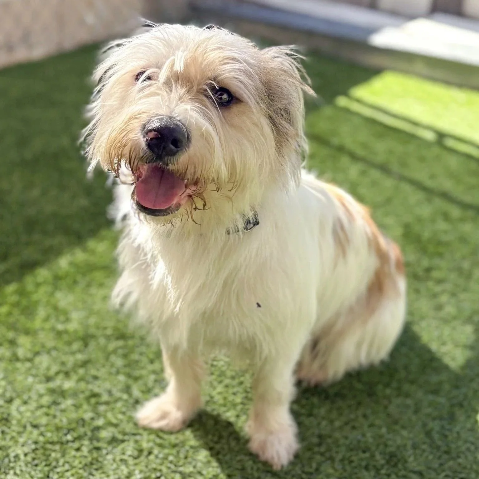 Thor/Male/ Age TBD