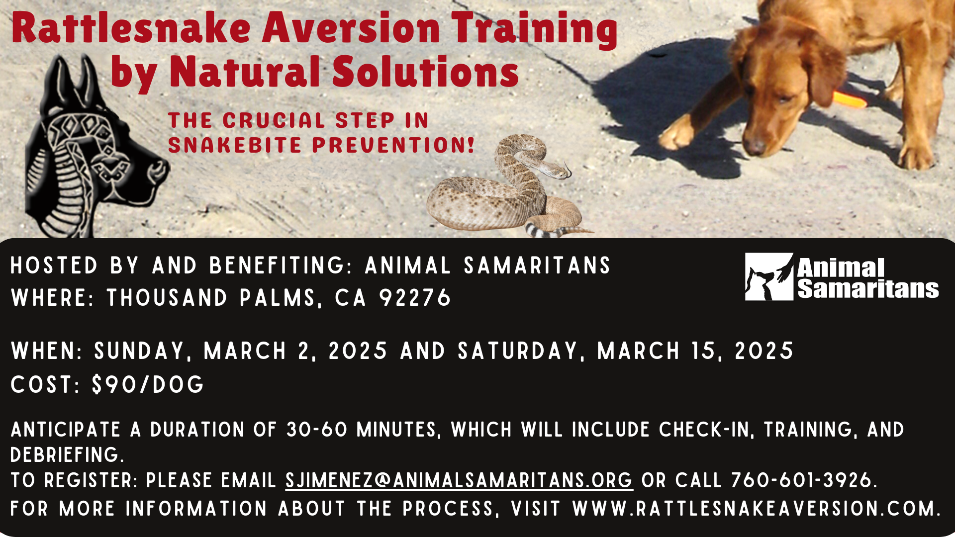 Rattlesnake Aversion Training for Dogs by Natural Solutions hosted by