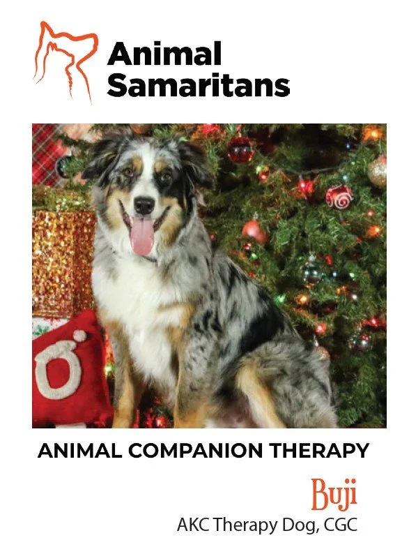 Breed: Australian Shepherd |
Birthday: May 28, 2022 |
Sex: Male |
Handler/Owner: Kathryn |
Buji is an energetic, people‑loving Aussie who lights up every room he enters. He’s known for his fun trick repertoire, his bright enthusiasm, and his ability 