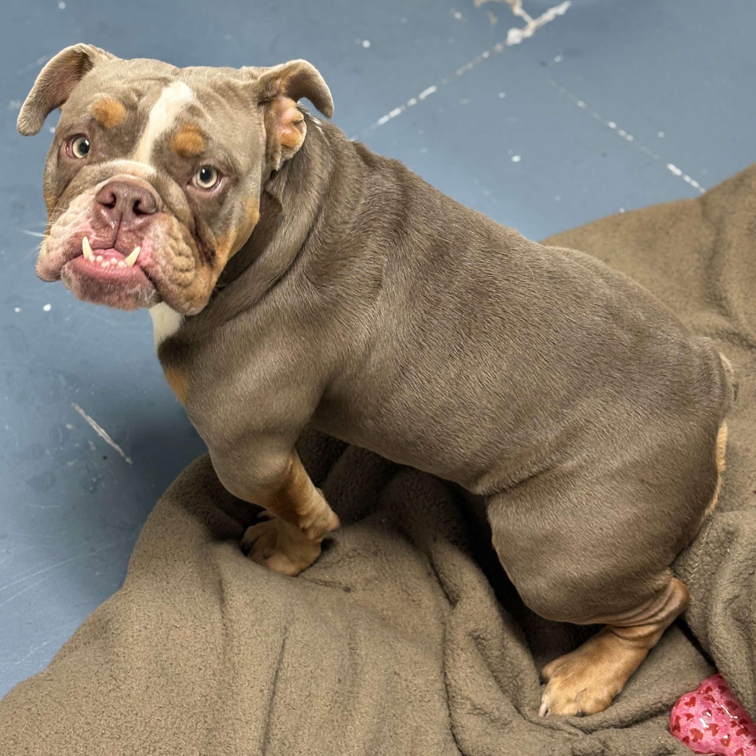 Esther/ Female/ 11 Months.