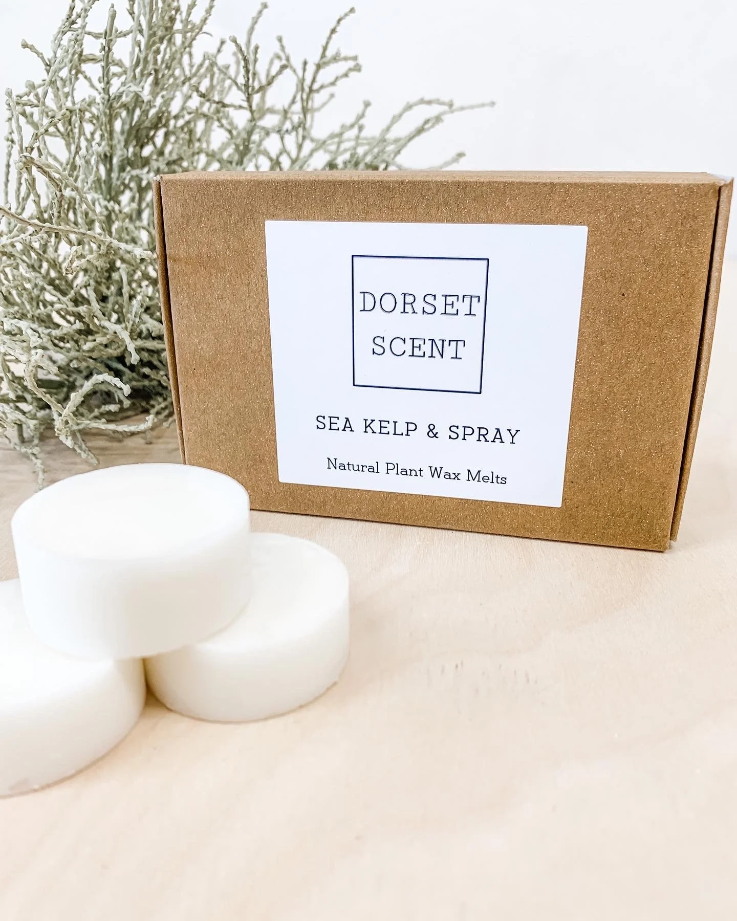 Sea Kelp & Spray Wax Melts