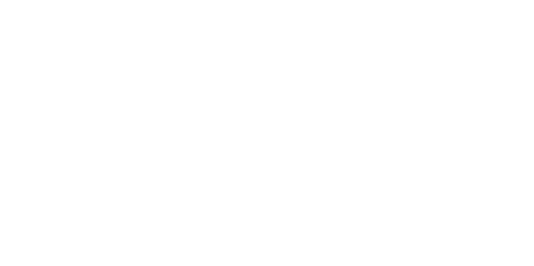 Nottingham International Film Festival