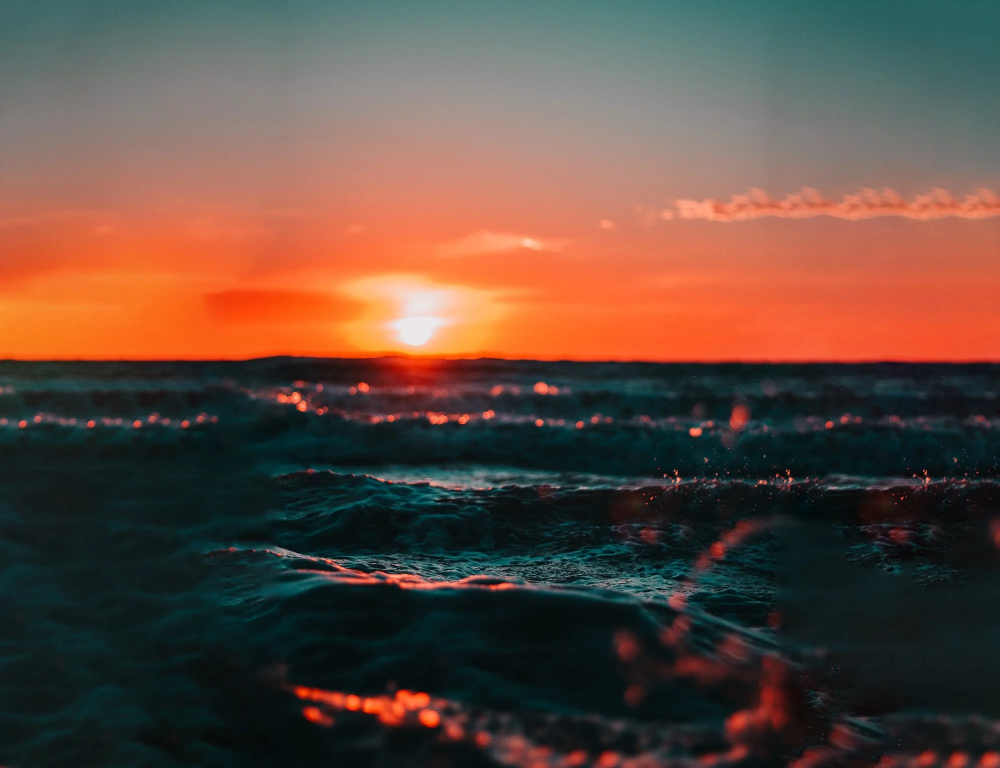 pexels-александр-прокофьев-561463 copy.jpg