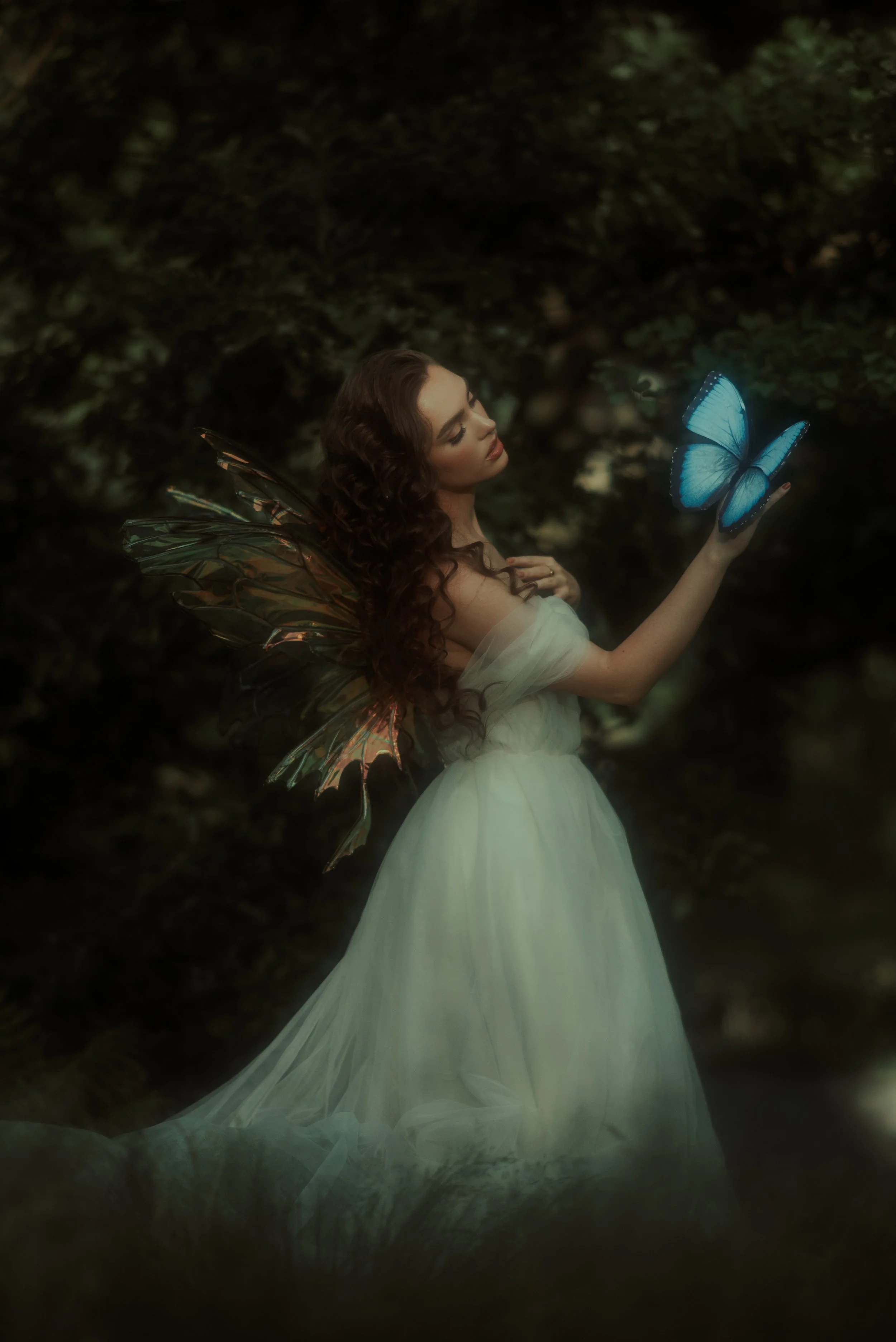 A fairy-like woman with iridescent butterfly wings stands in a dark forest, holding a glowing blue butterfly on her finger.