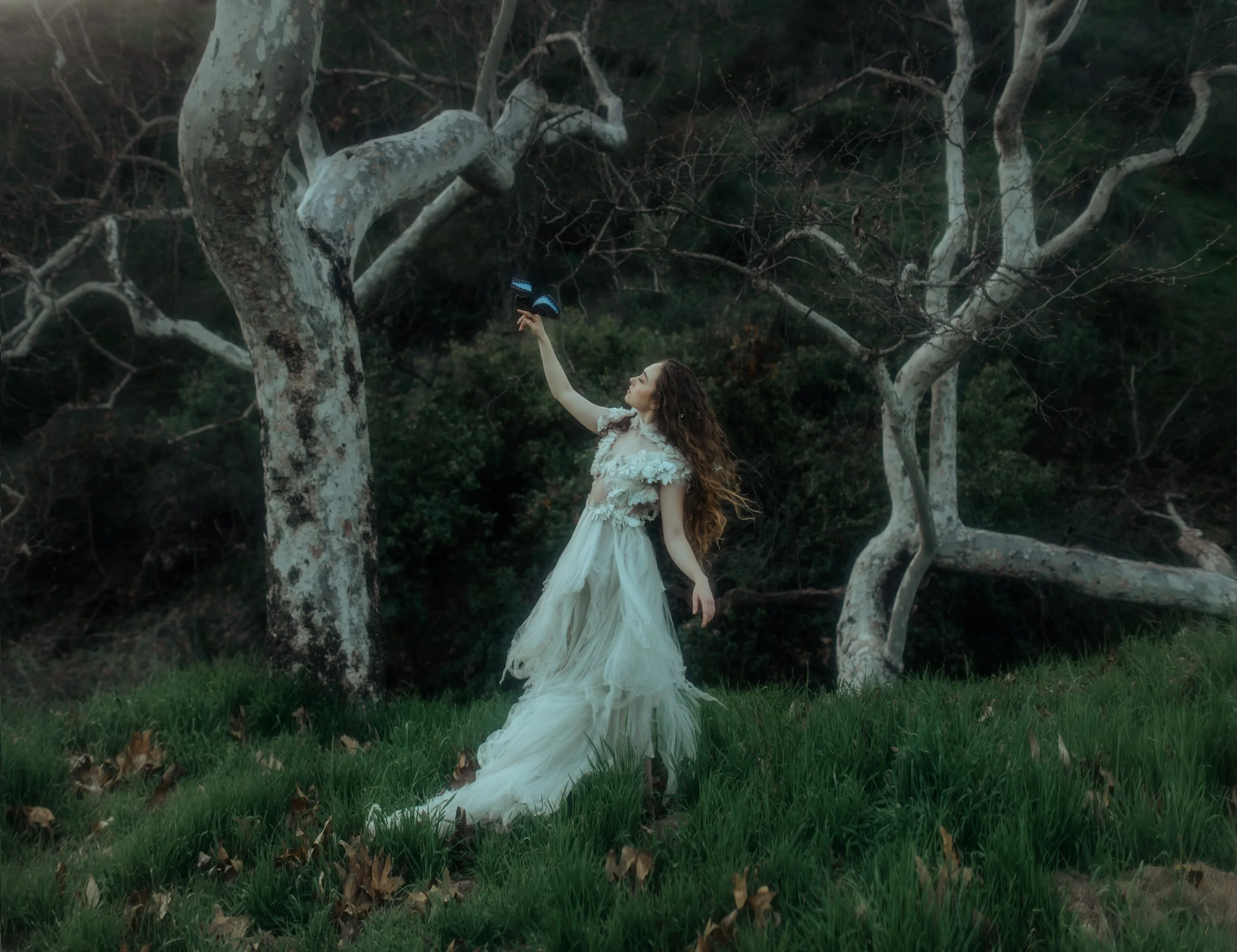 A woman in a flowing, ethereal white dress stands in a grassy field with bare trees in the background. She is reaching up towards a blue and black bird perched in a tree.
