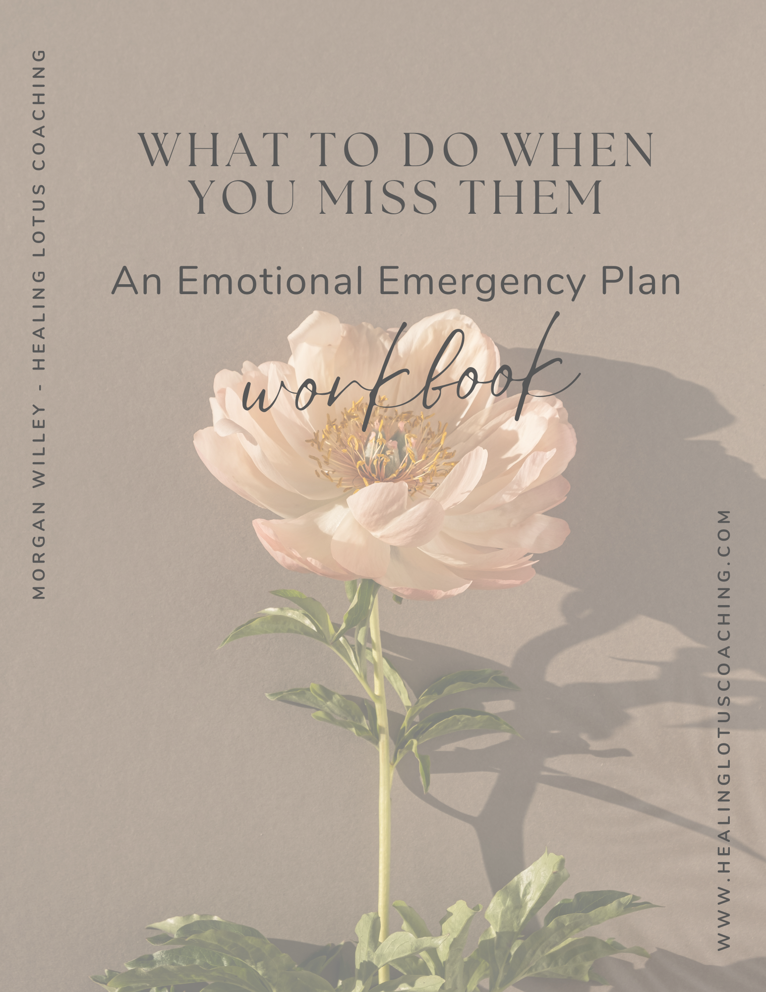 “What to do when you miss them” emergency plan