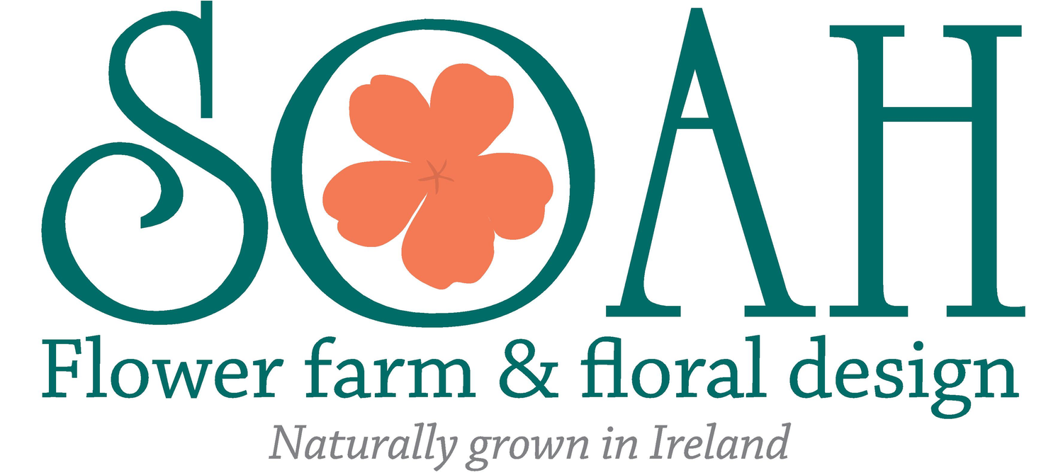 Soah Flowers is a cut flower garden and floral design studio based just outside Kilkenny City