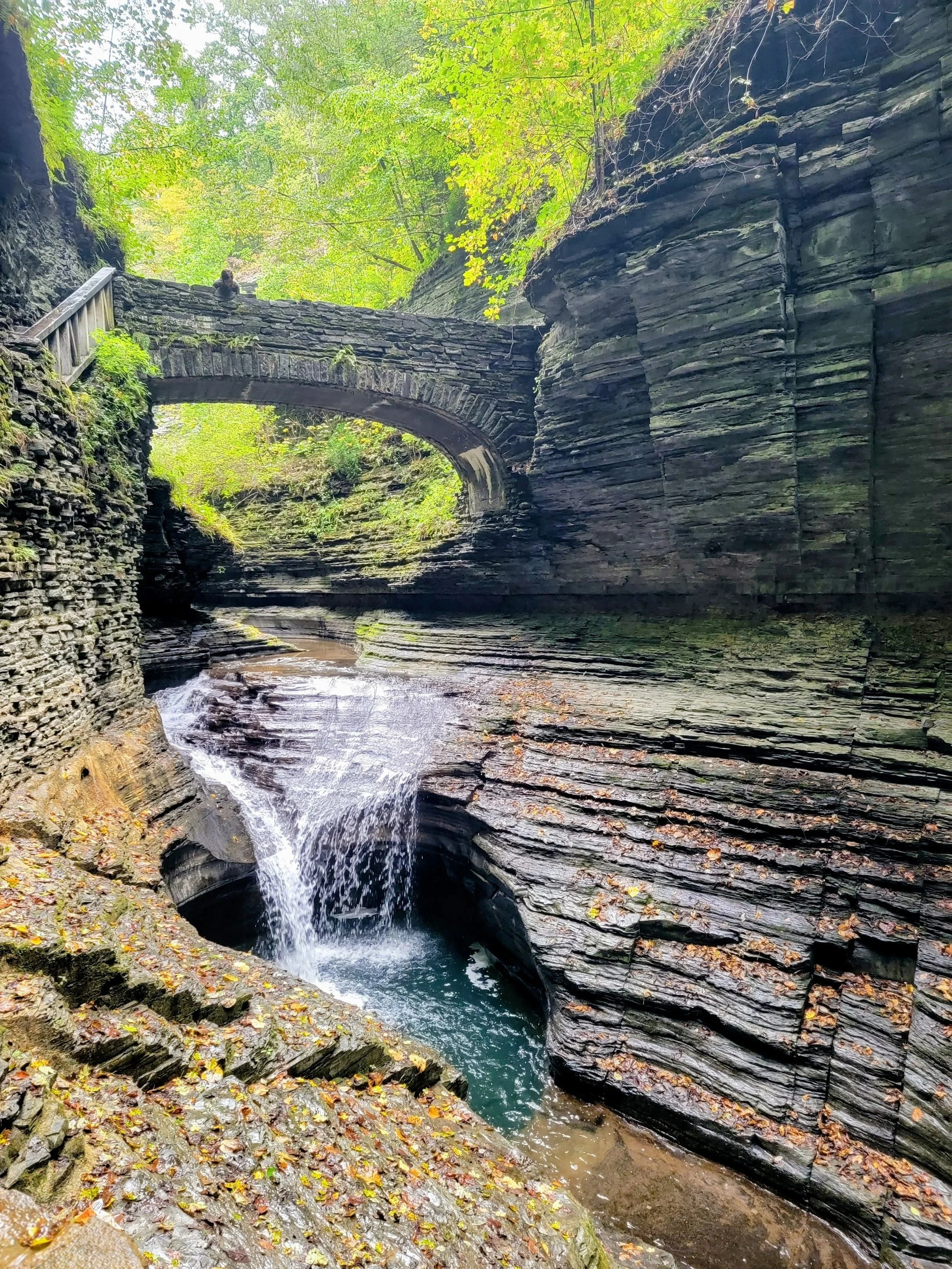 Guidelines to Fight By: Navigating Disagreement with Respect