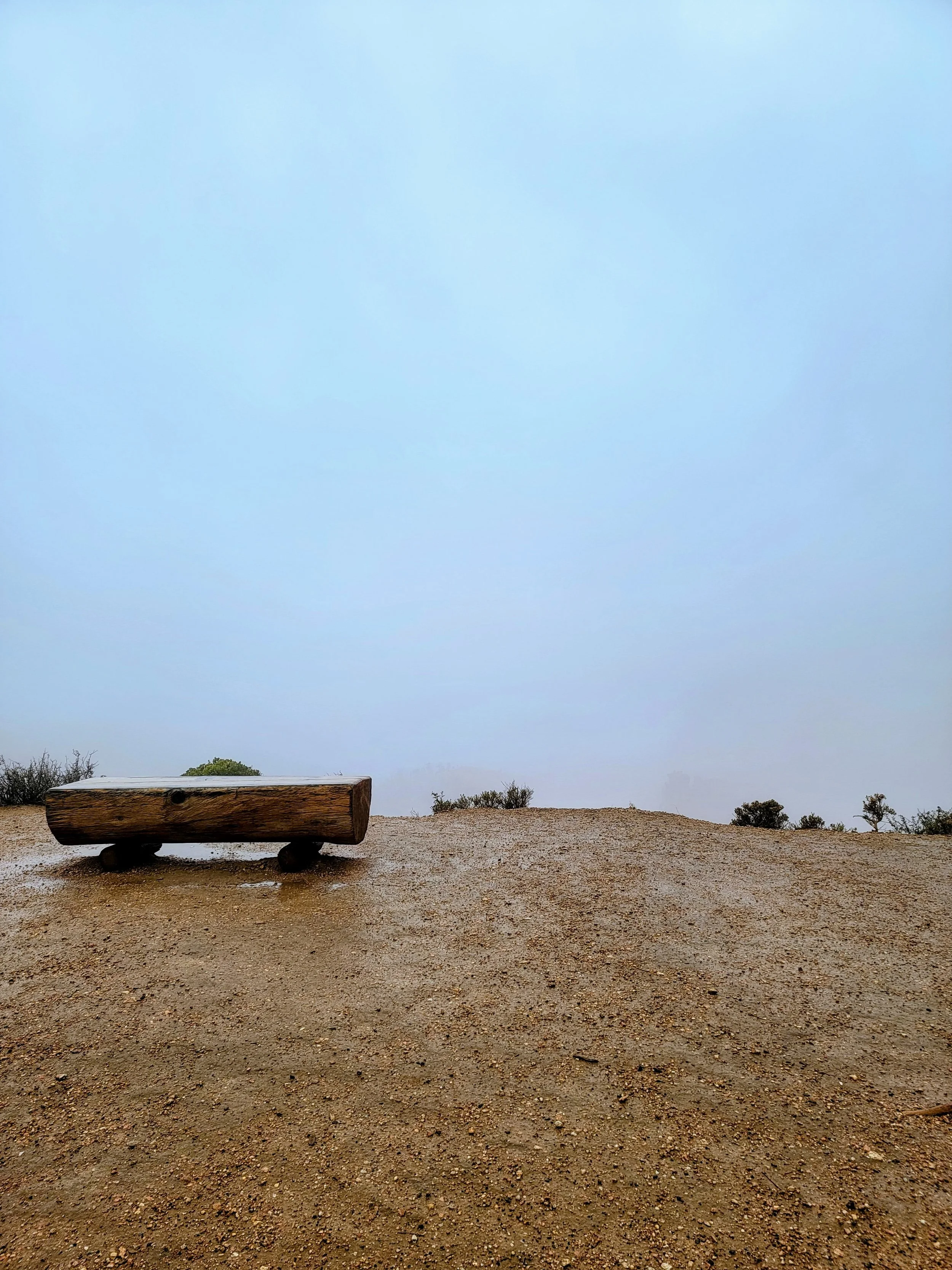 The Power of the Pause: Why I Took a Step Back