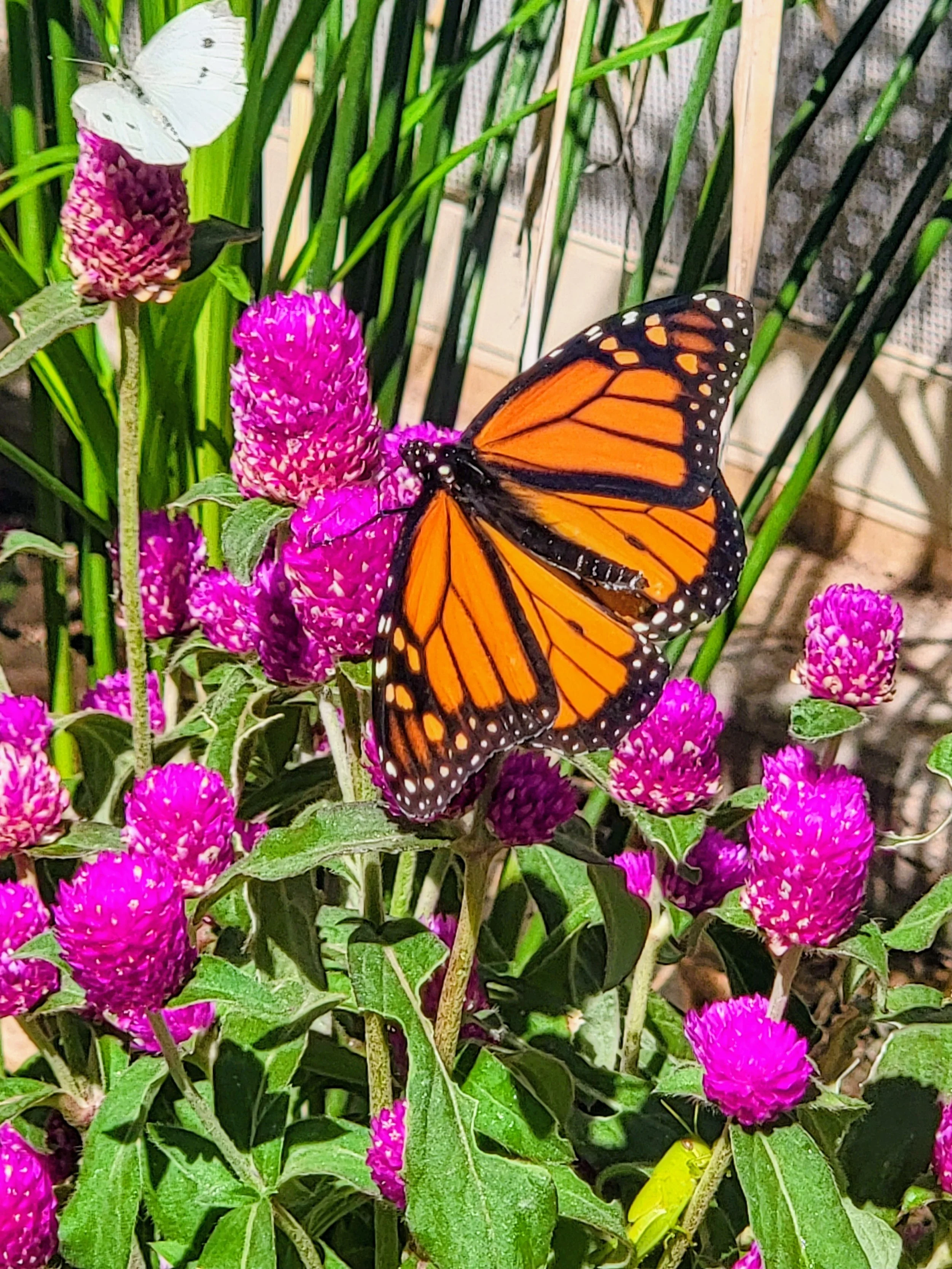 Self-Care is an Act of Self-Love