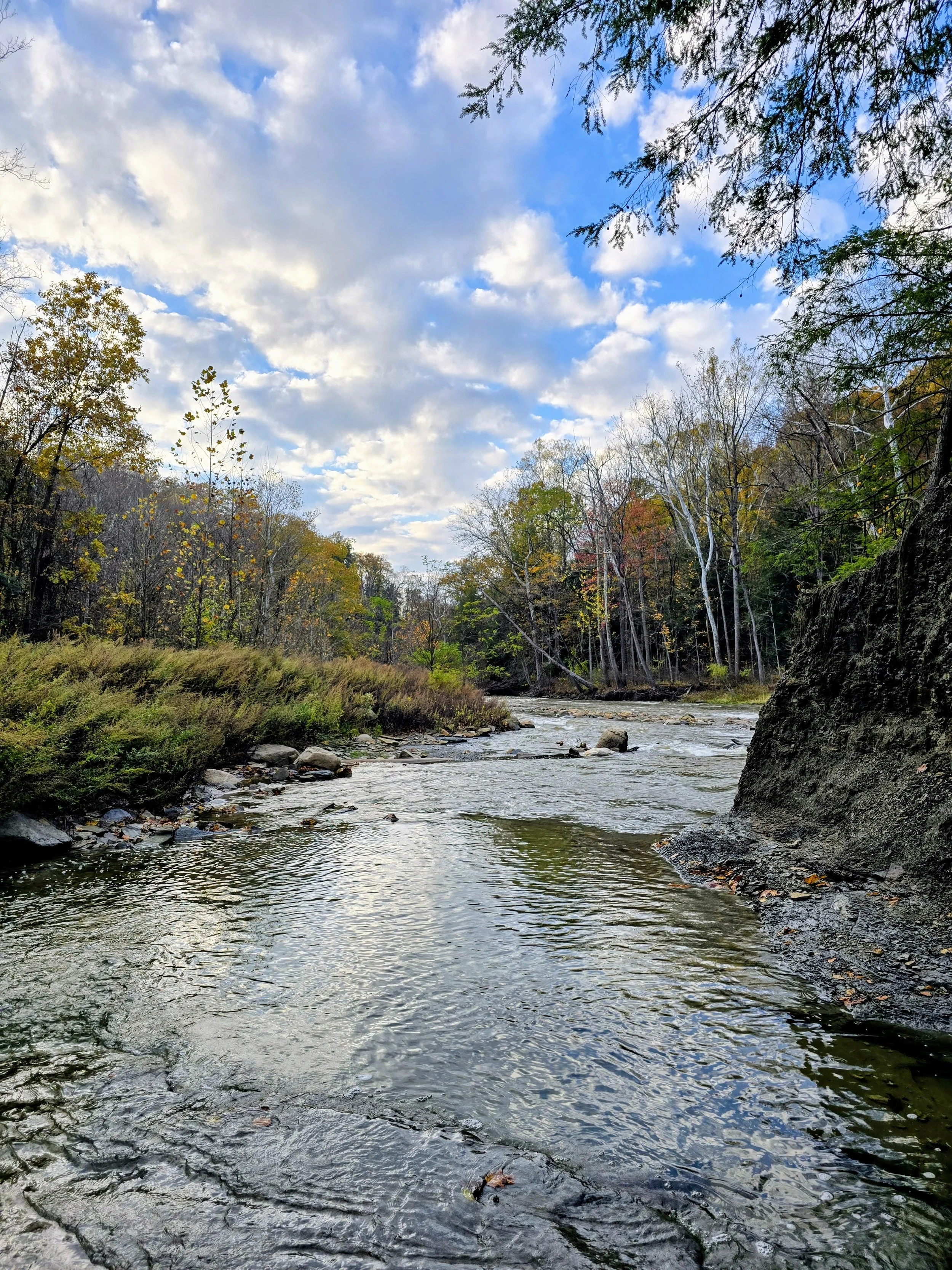 From Trust to Surrender: Navigating the River of 2024