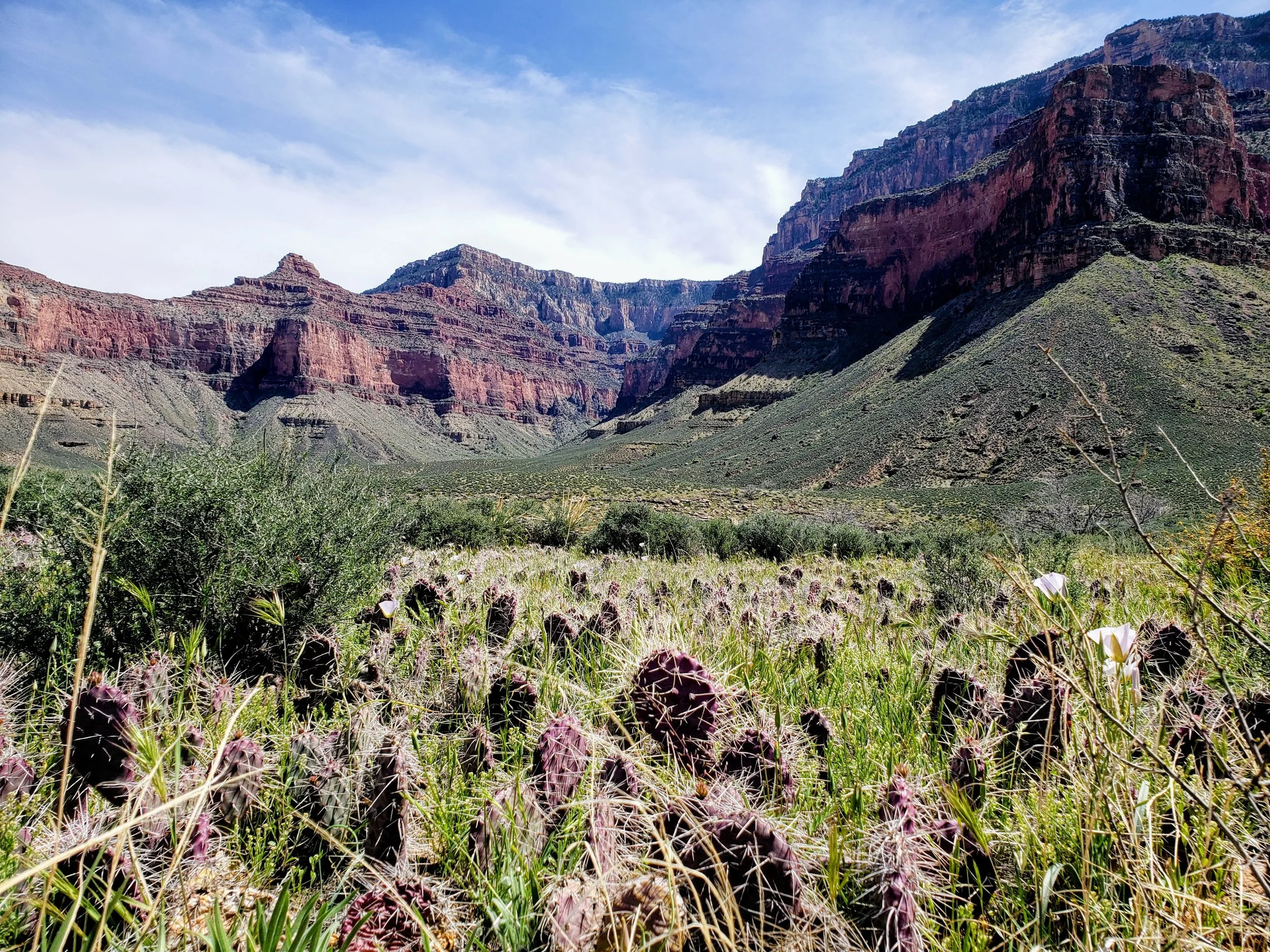 Letting Go of the Map: Lessons from the Grand Canyon
