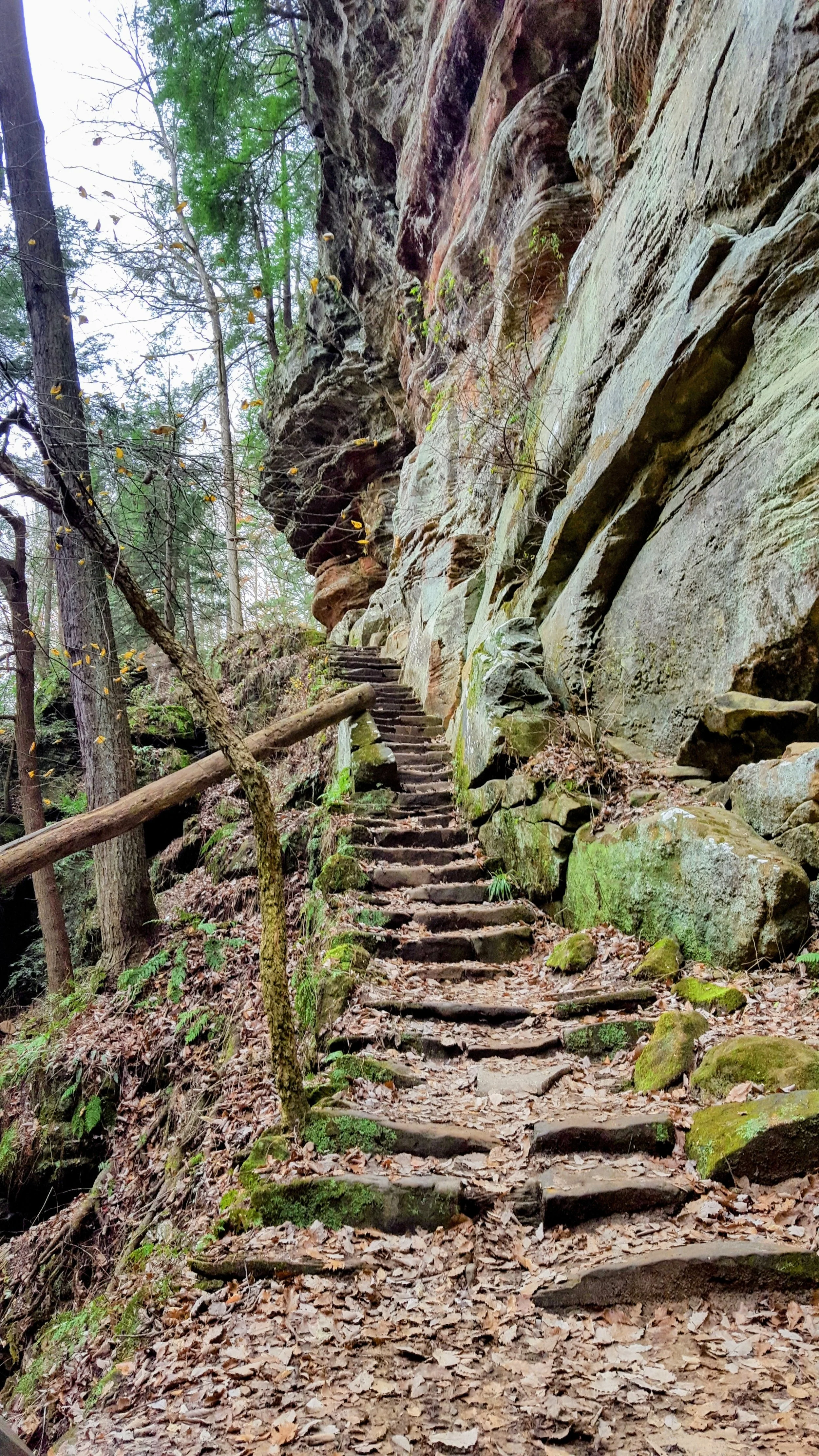 The 12 Steps for Everyone: Tending the Garden of the Self