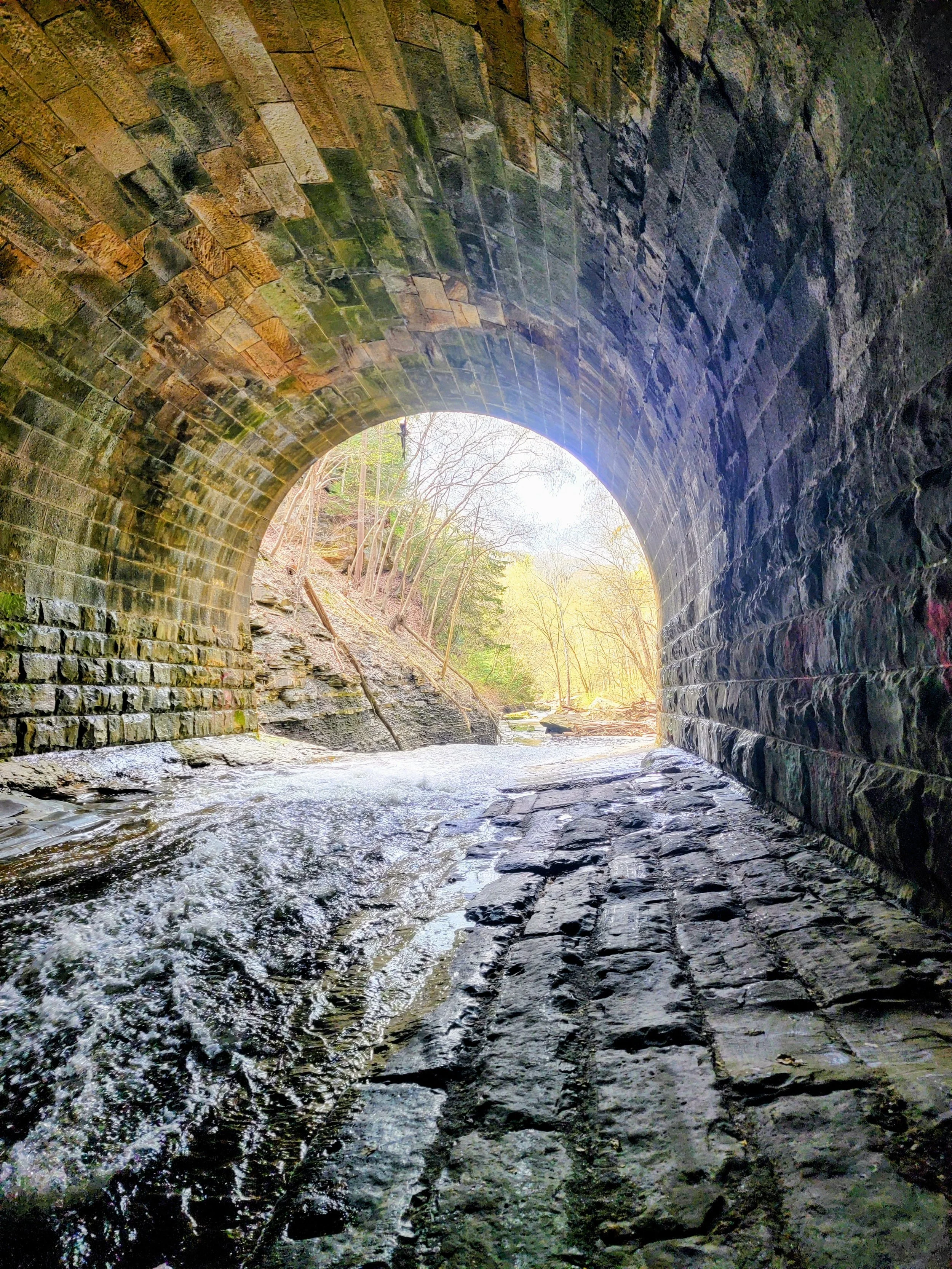 Growing Pains: Reflections on My Own Journey Through Therapy