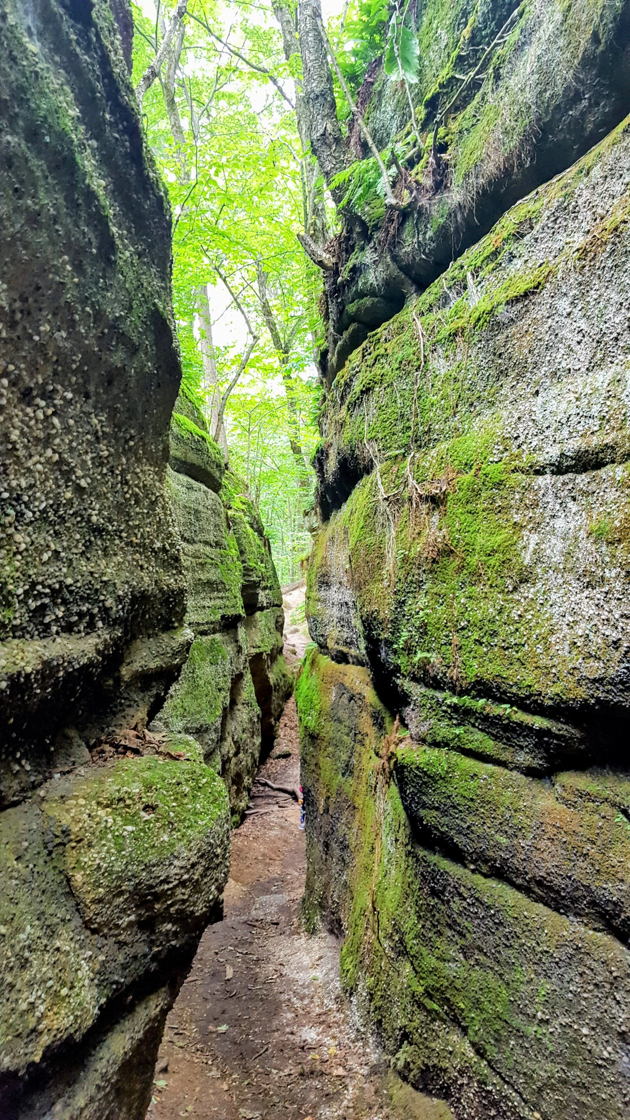 Navigating Toxic Relationships: When You Can’t Just "Cut Them Out"