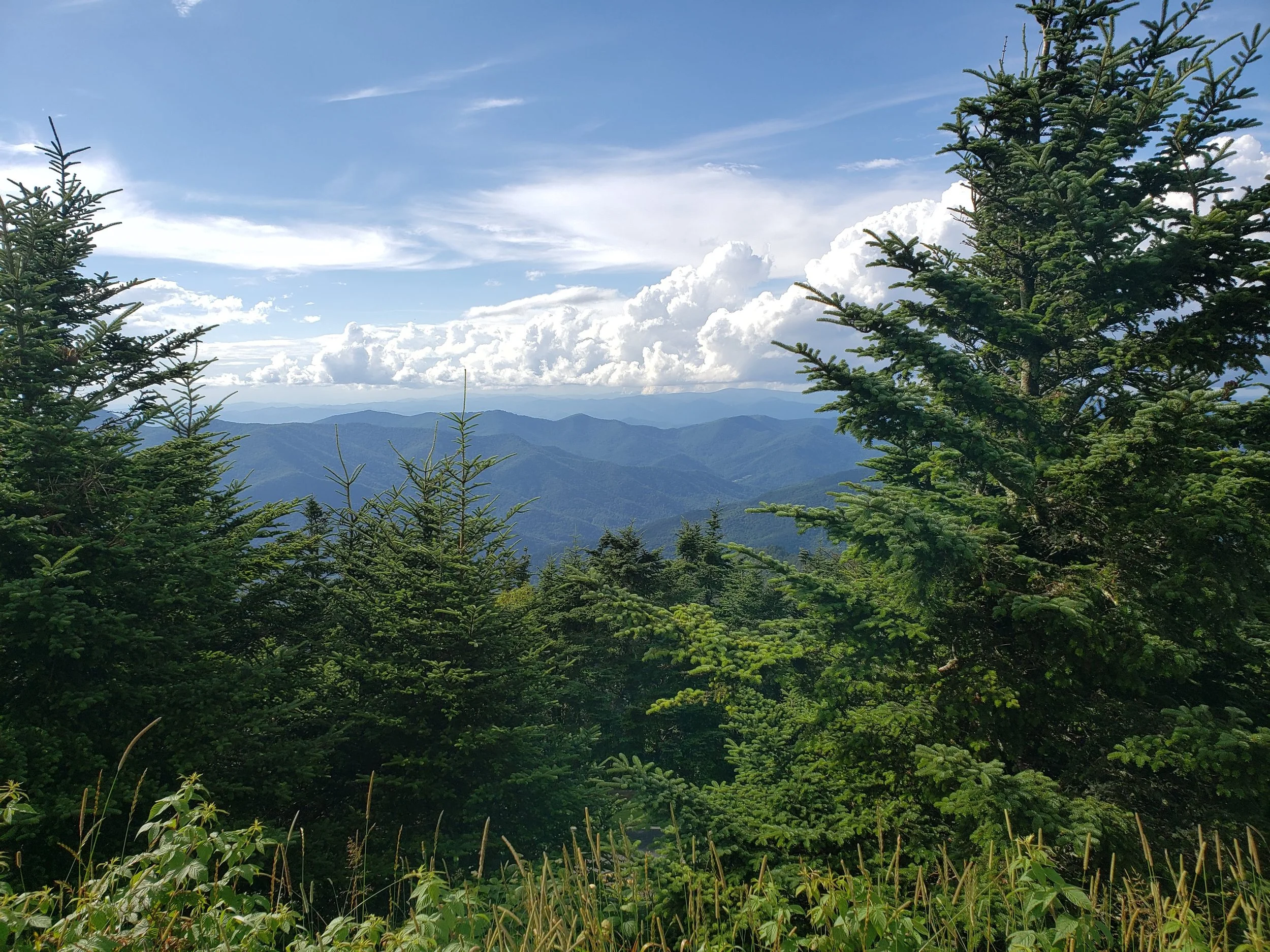 Life coaching for personal growth in Rocky River: A wide mountain landscape representing clarity and new perspectives.