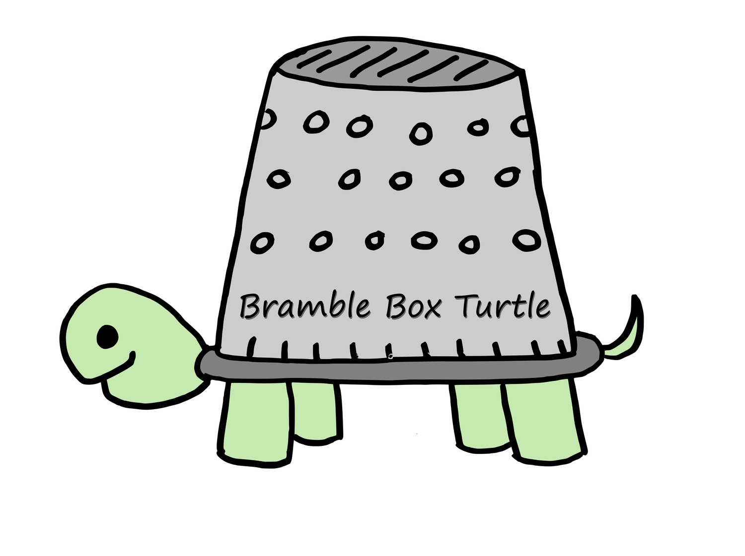 Bramble Box Turtle