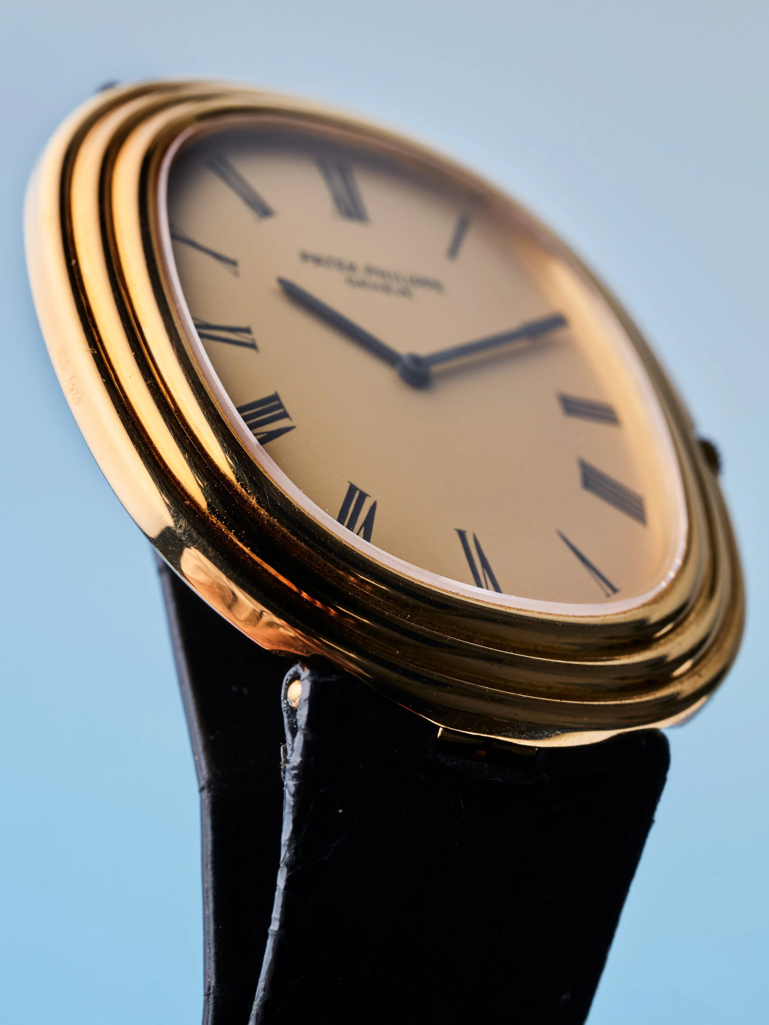 2026-GEV-WATCH_2935.jpg (Copy)
