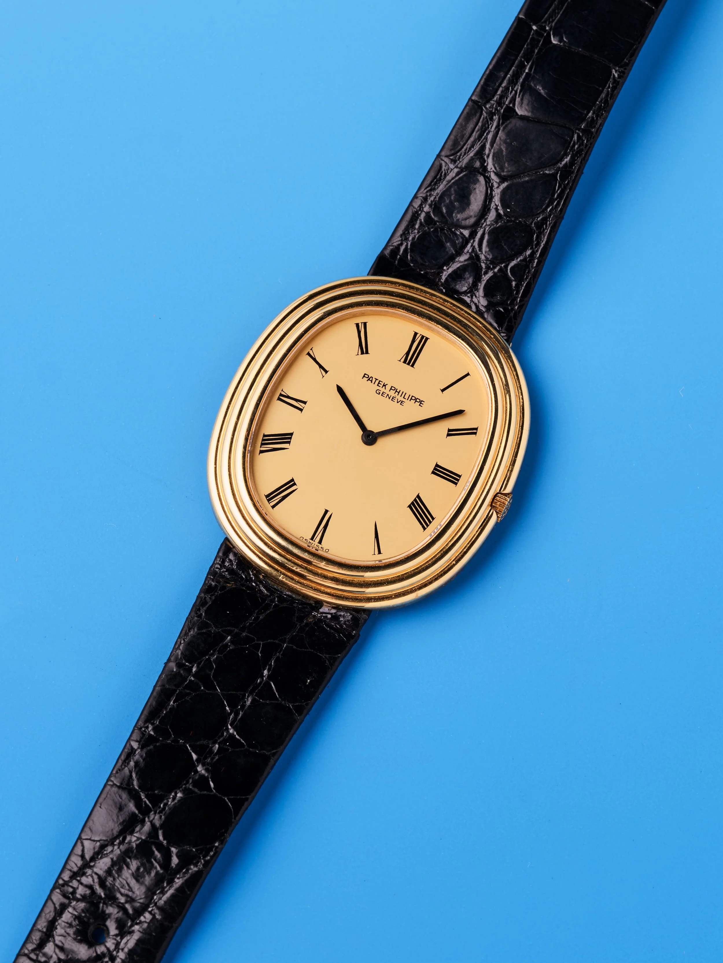 2026-GEV-WATCH_2923.jpg (Copy)