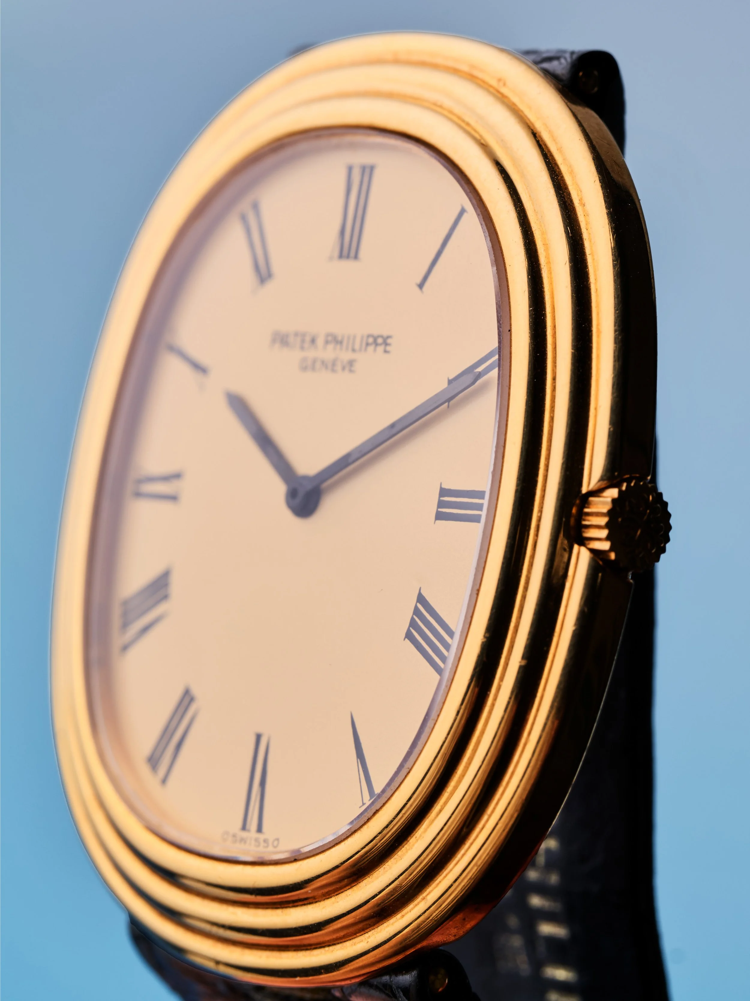2026-GEV-WATCH_2937.jpg (Copy)