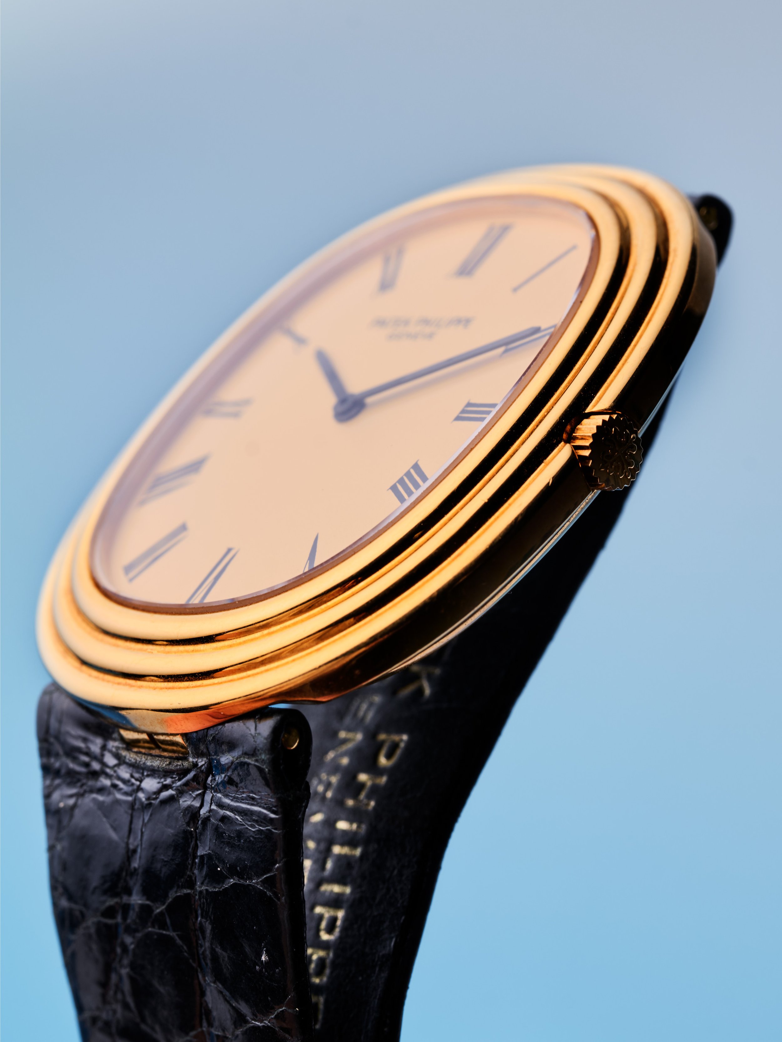 2026-GEV-WATCH_2934.jpg (Copy)