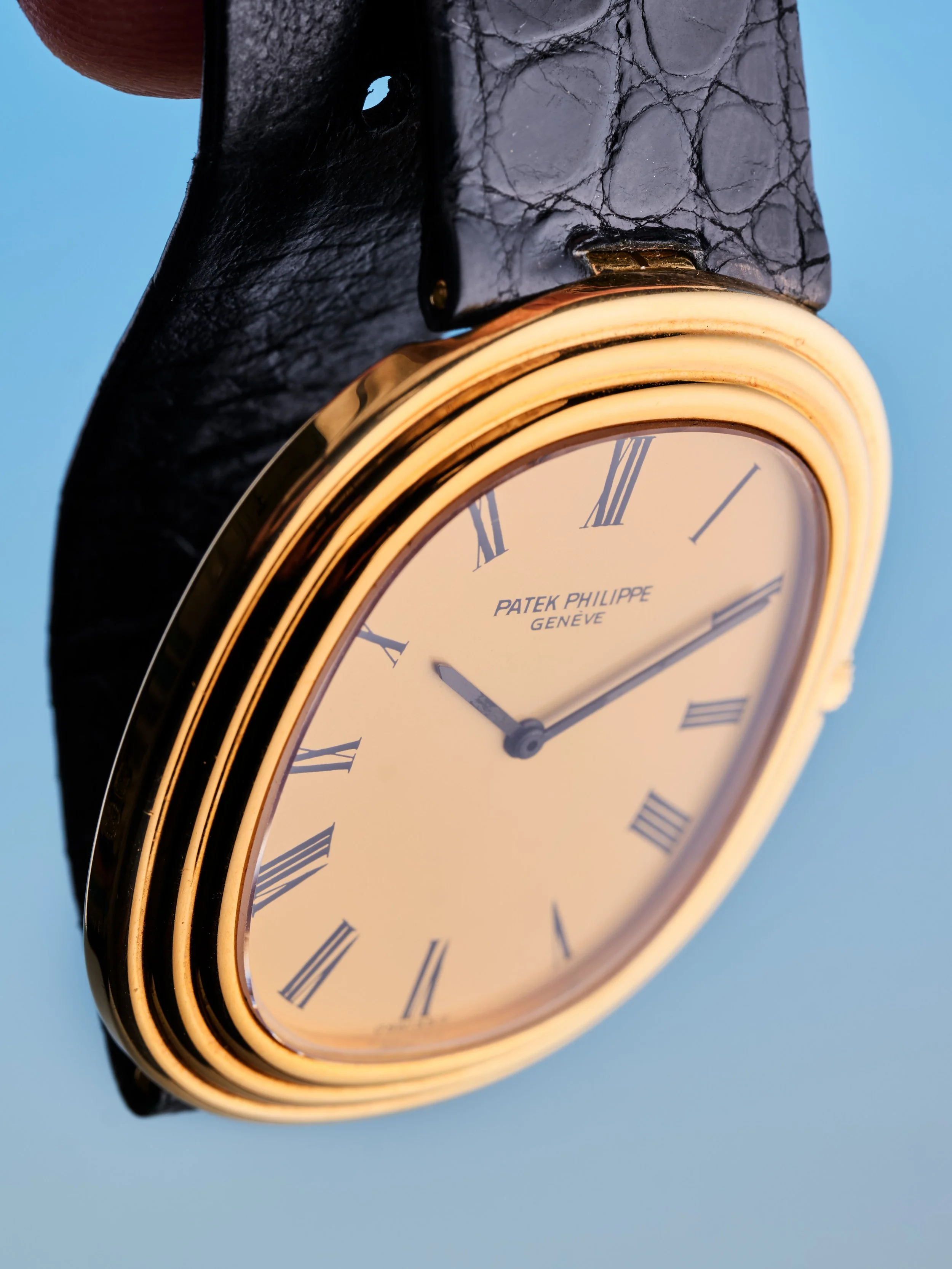 2026-GEV-WATCH_2933.jpg (Copy)