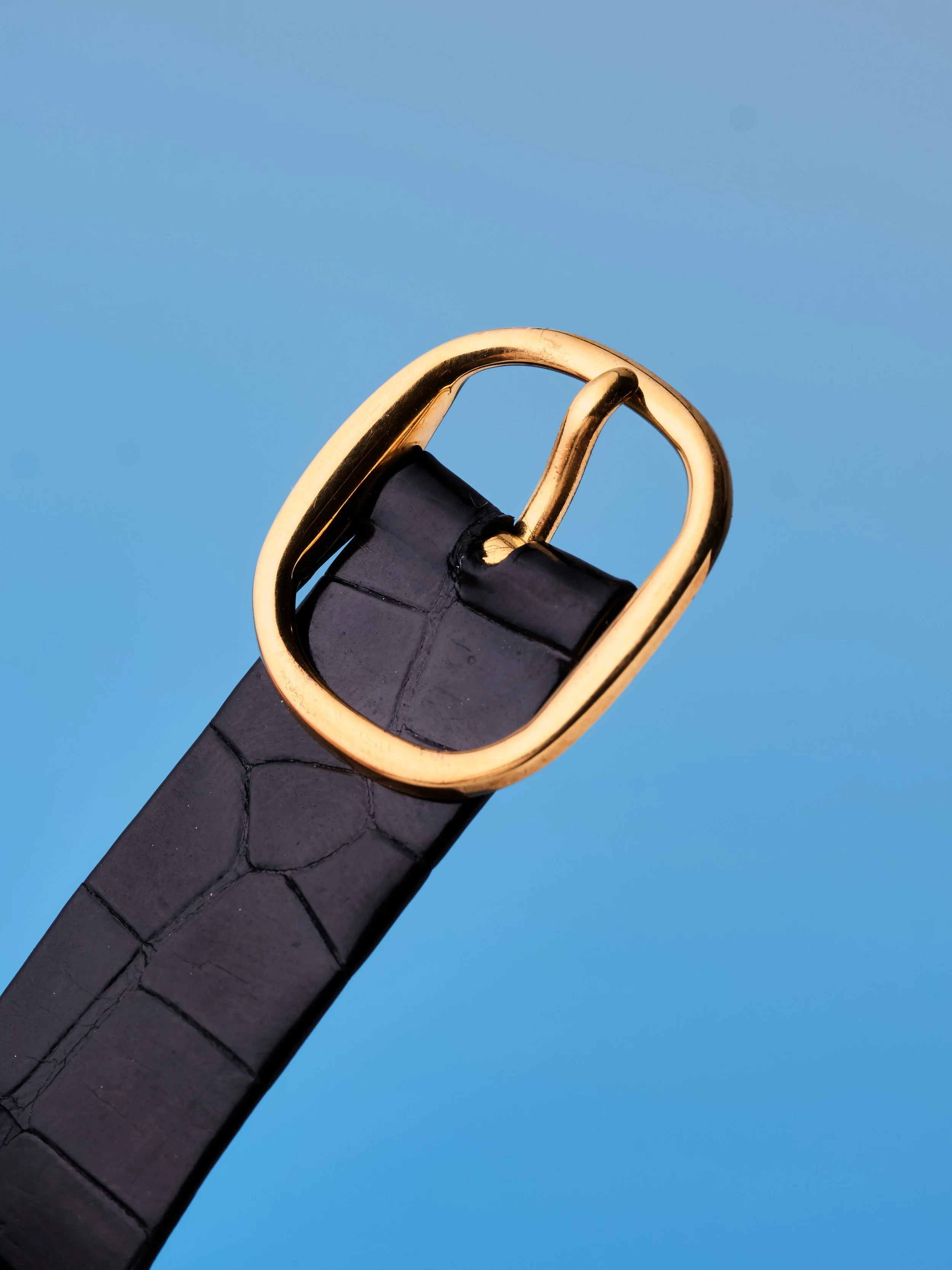 2026-GEV-WATCH_2941.jpg (Copy)