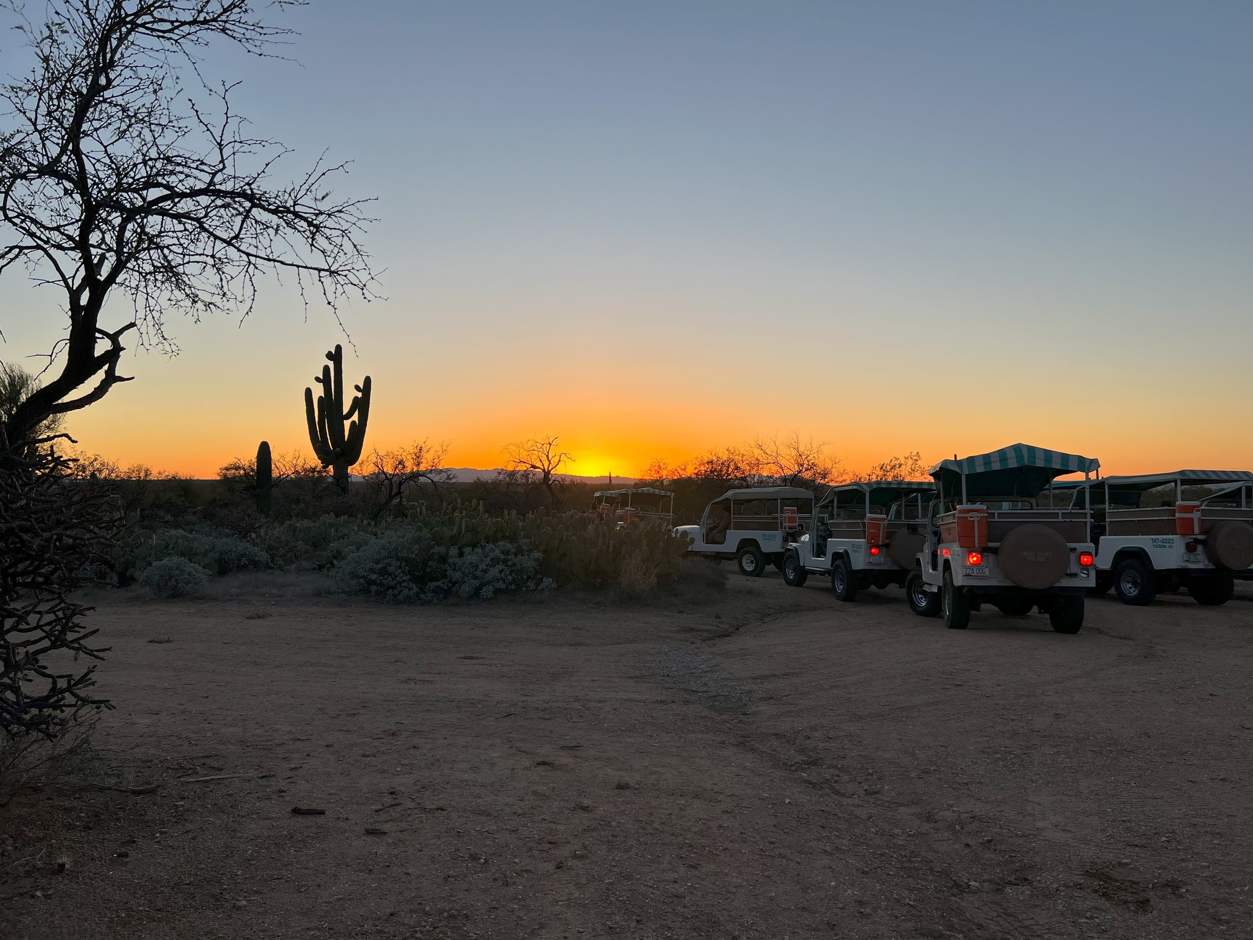 Jeeps at Sunset.jpeg