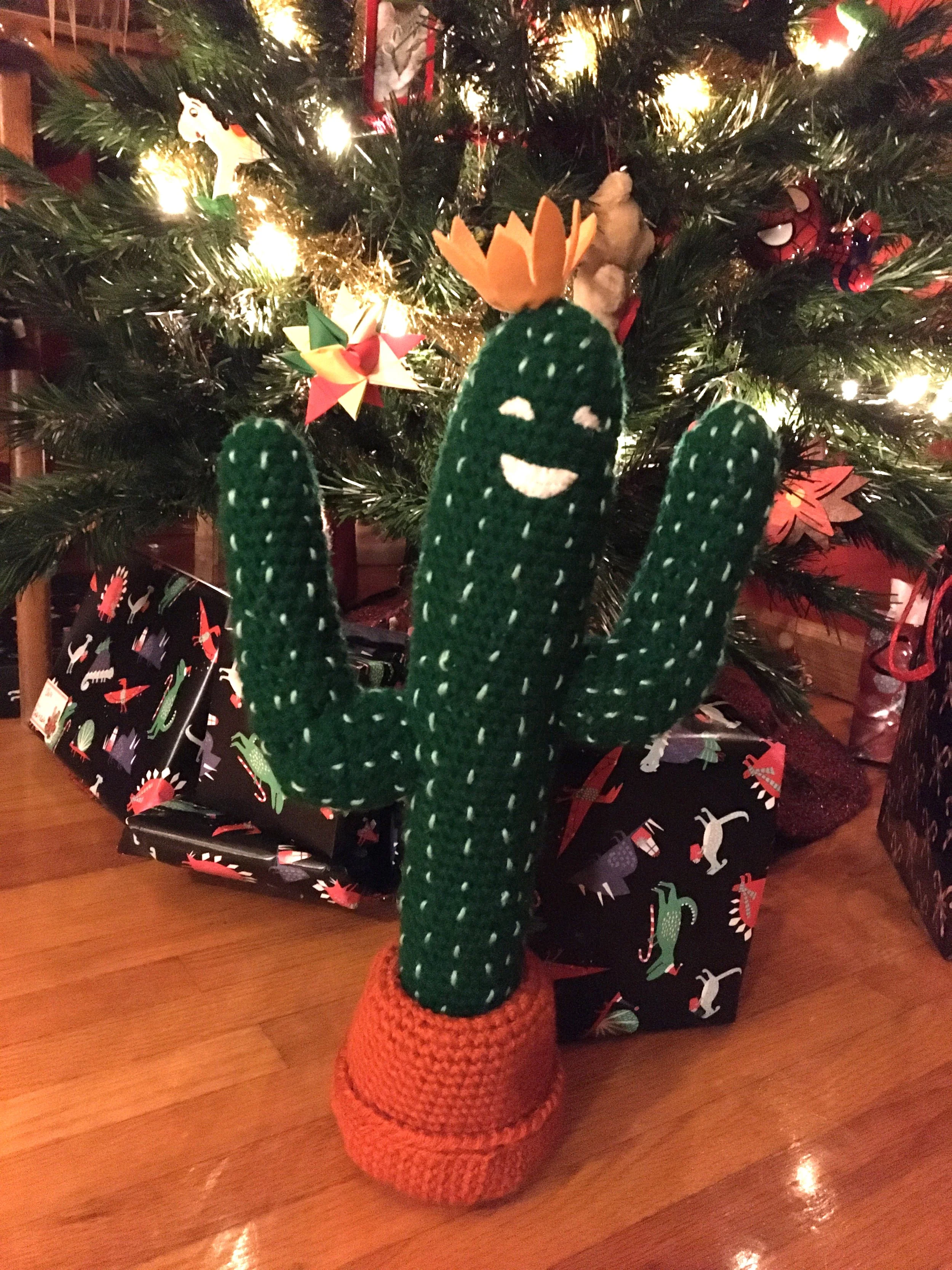 Saguaro bright.jpg