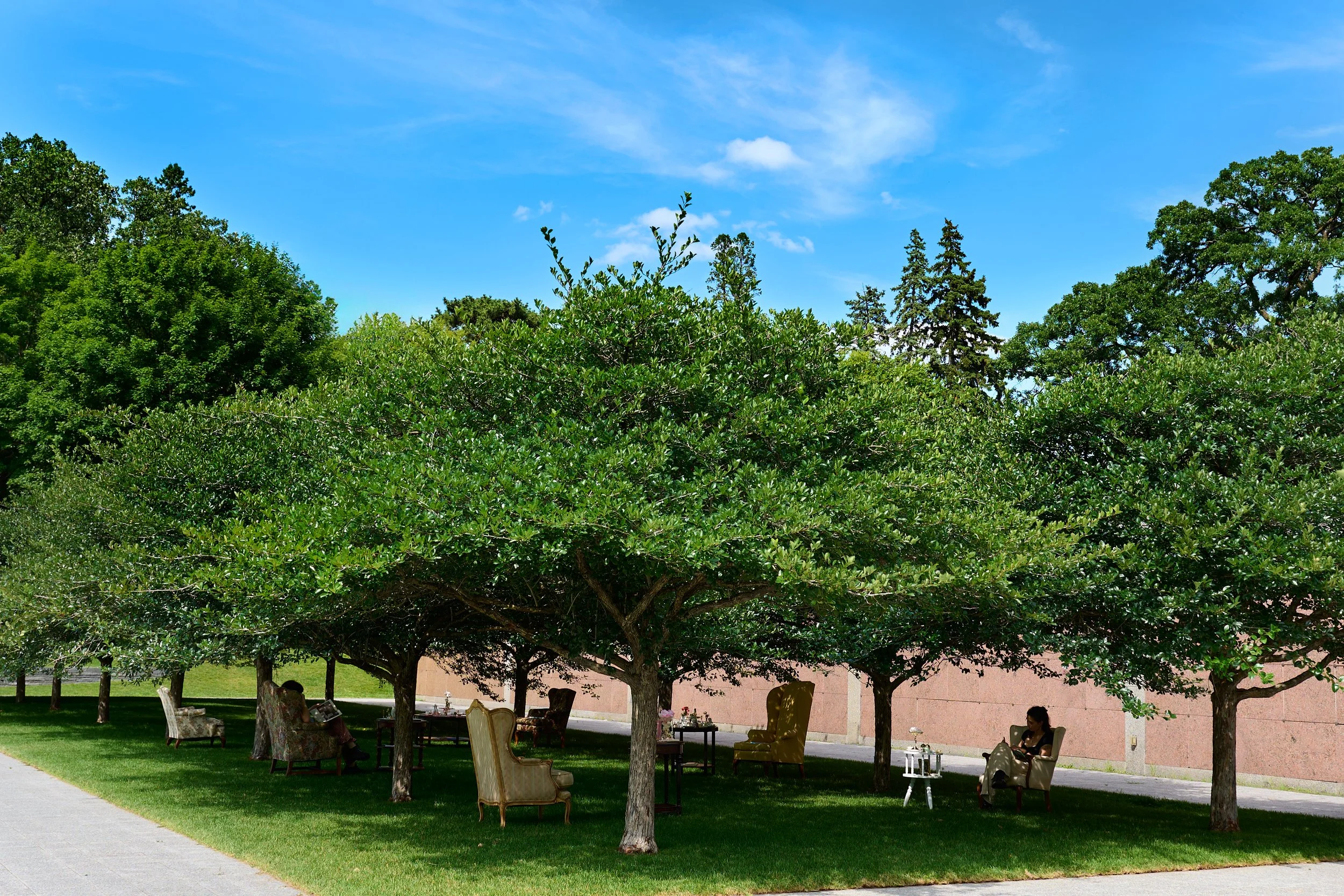 Lakewood-EnDuelo-Sun-118.jpg