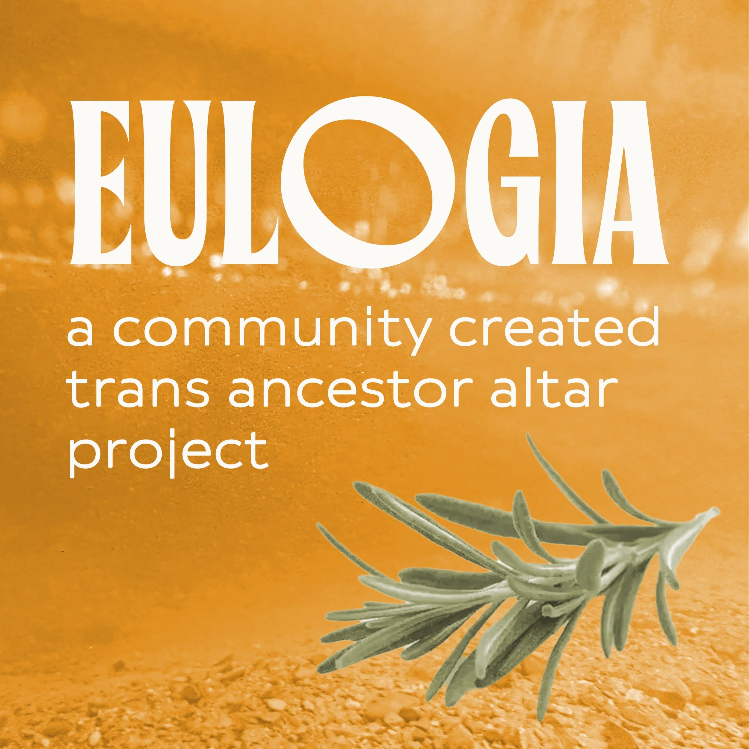 Eulogia insta square copy.jpg