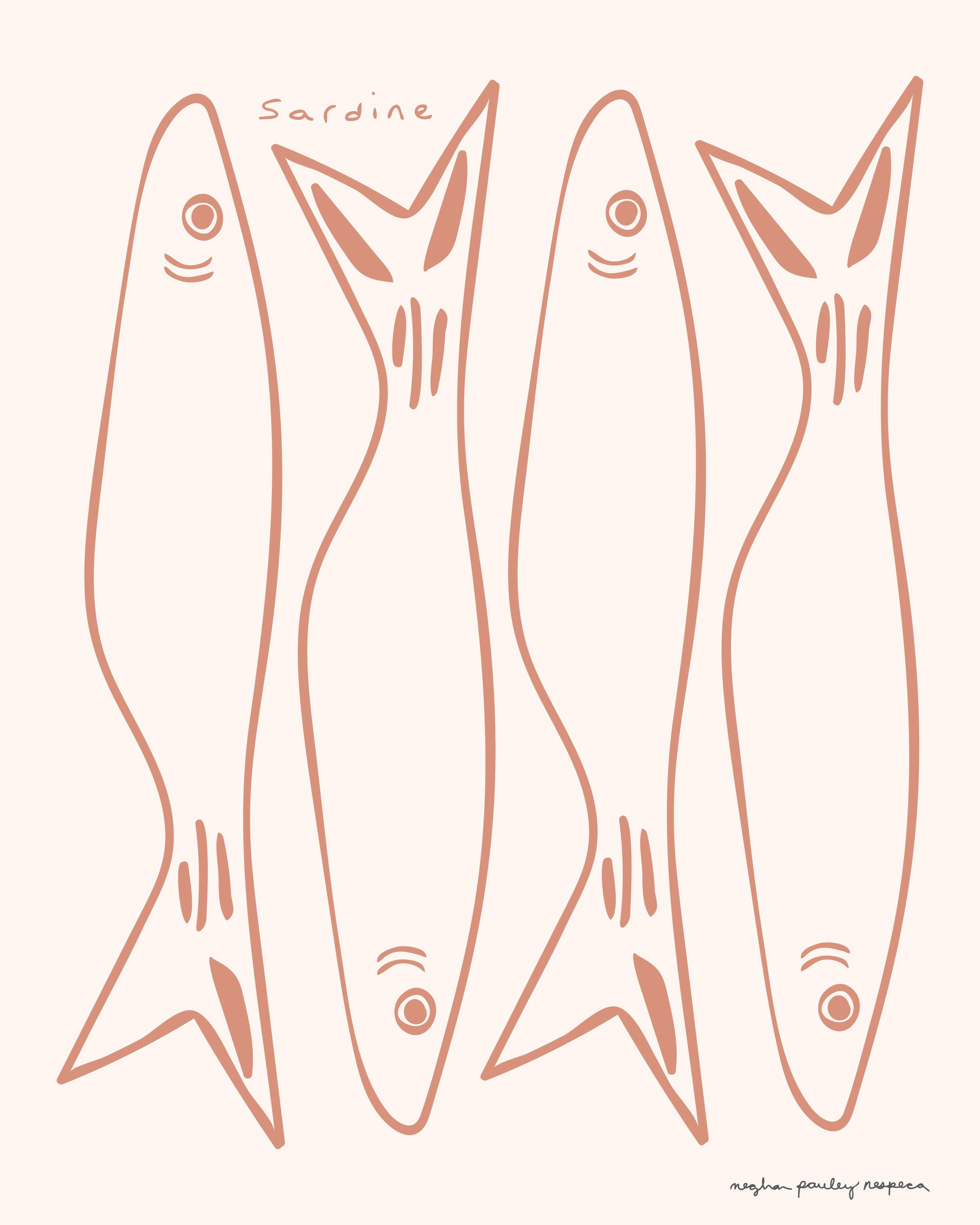 sardine-big-8x10-01.jpeg