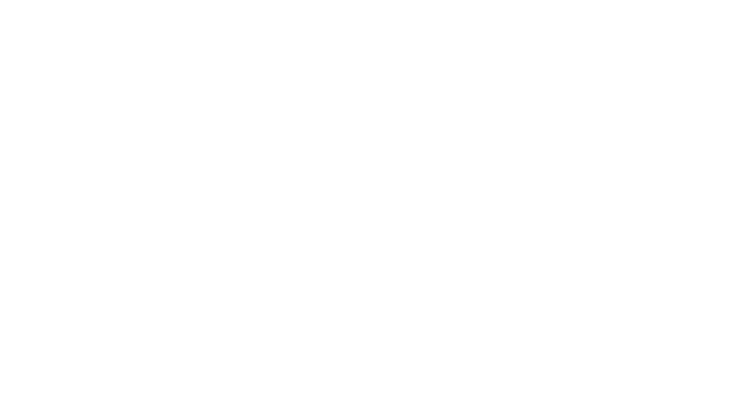 THE PUNK ROCK MUSEUM
