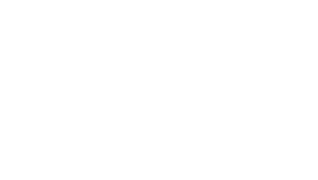 HEELY'S