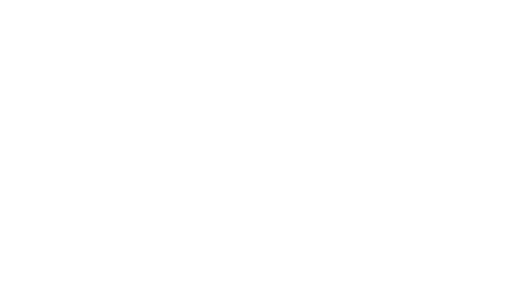 WILLOW & ERYS TOUR