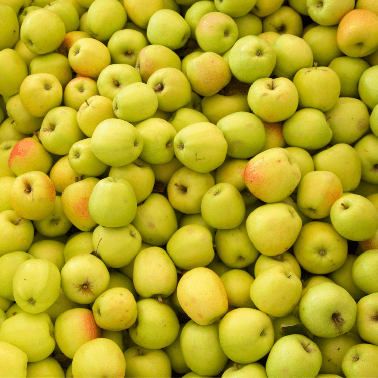 Honey Gold Apples Taste, recipes and more — Orchard