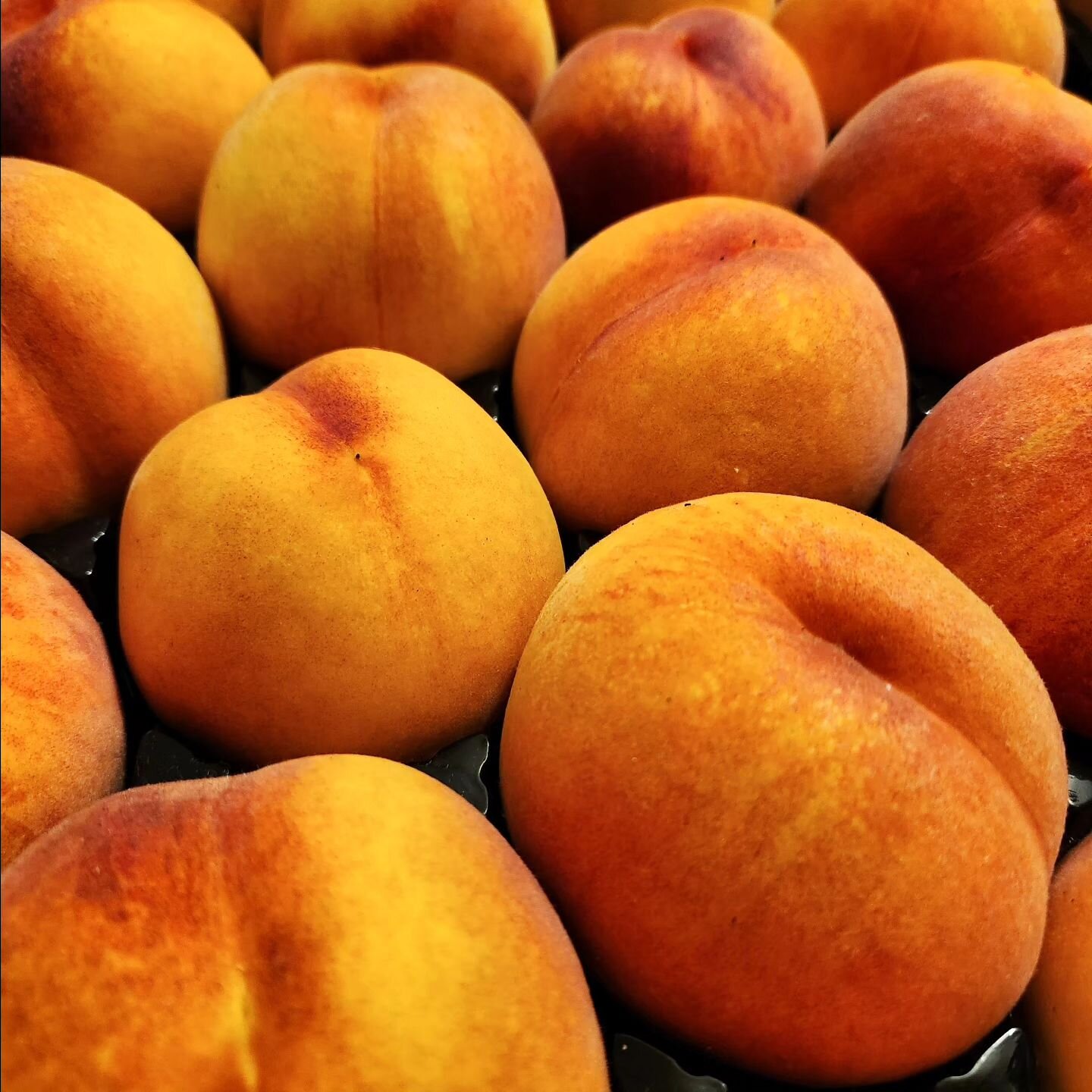 This Saturday, August 19th
We'll be at Spokane &amp; Kootenai Farmer's Markets with beautiful WSDA Certified Organic peaches!
@thespokanefarmersmarket 
@kcfmidaho

#certifiedorganic 
#peaches
#farmersmarket