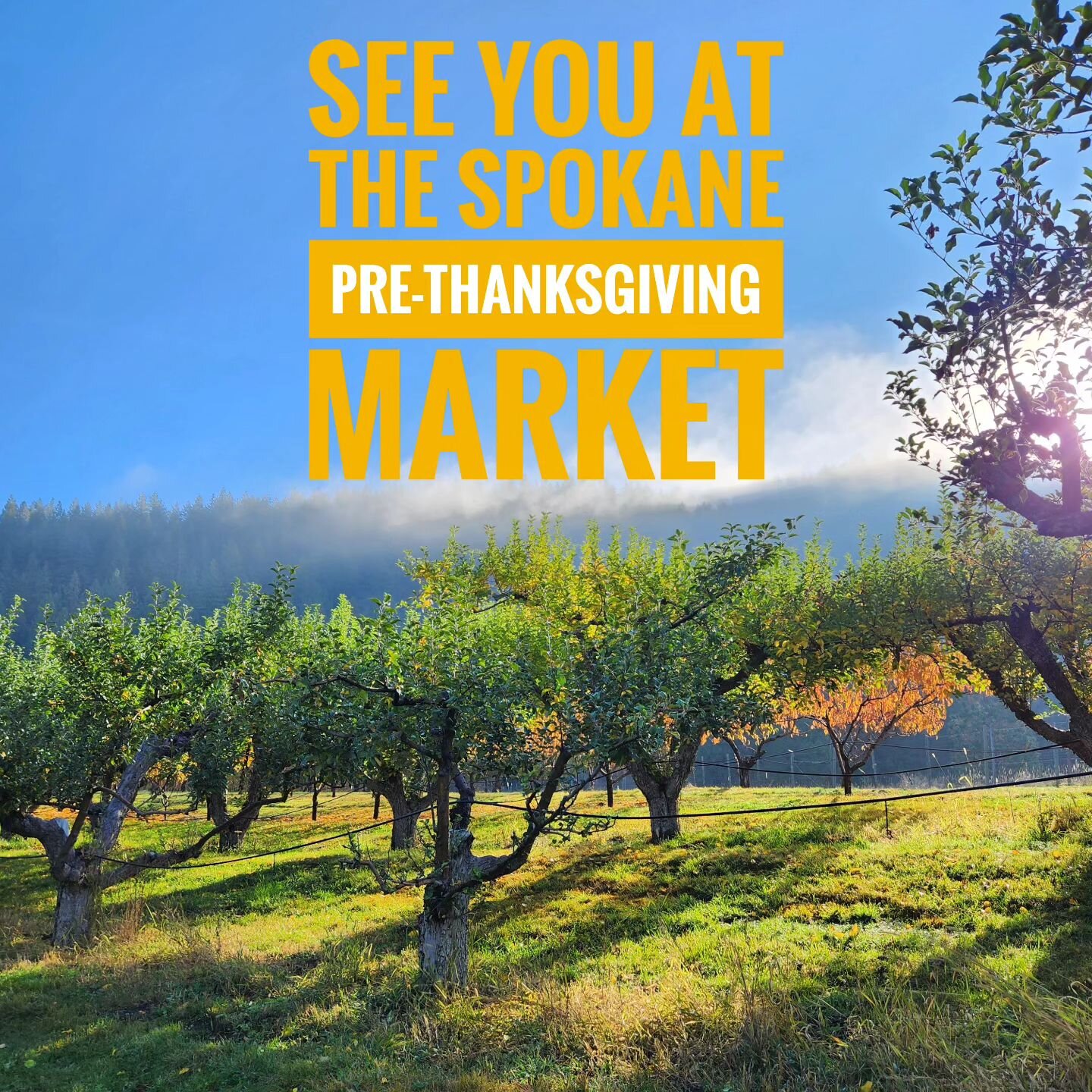 This Saturday, we will be at the Spokane Pre-Thanksgiving market from 10am - 1pm with boxes of Bosc &amp; D'Anjou pears and mixed #2 apple boxes for sauce &amp; pies!