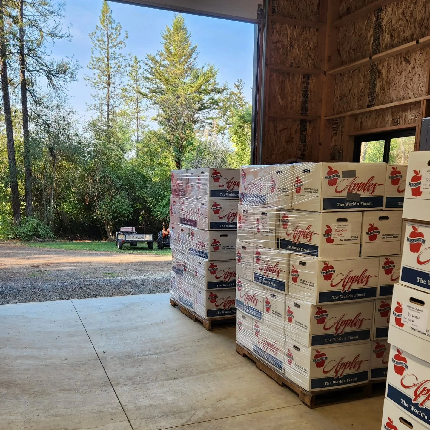 We picked, packed, stacked eleven pallets (13,968 lbs) of organic apples &amp; pears for the good people @secondharvest_inw today 🍎🍐
Second Harvest will then distribute our fruit to people in need throughout eastern WA 😁✨️