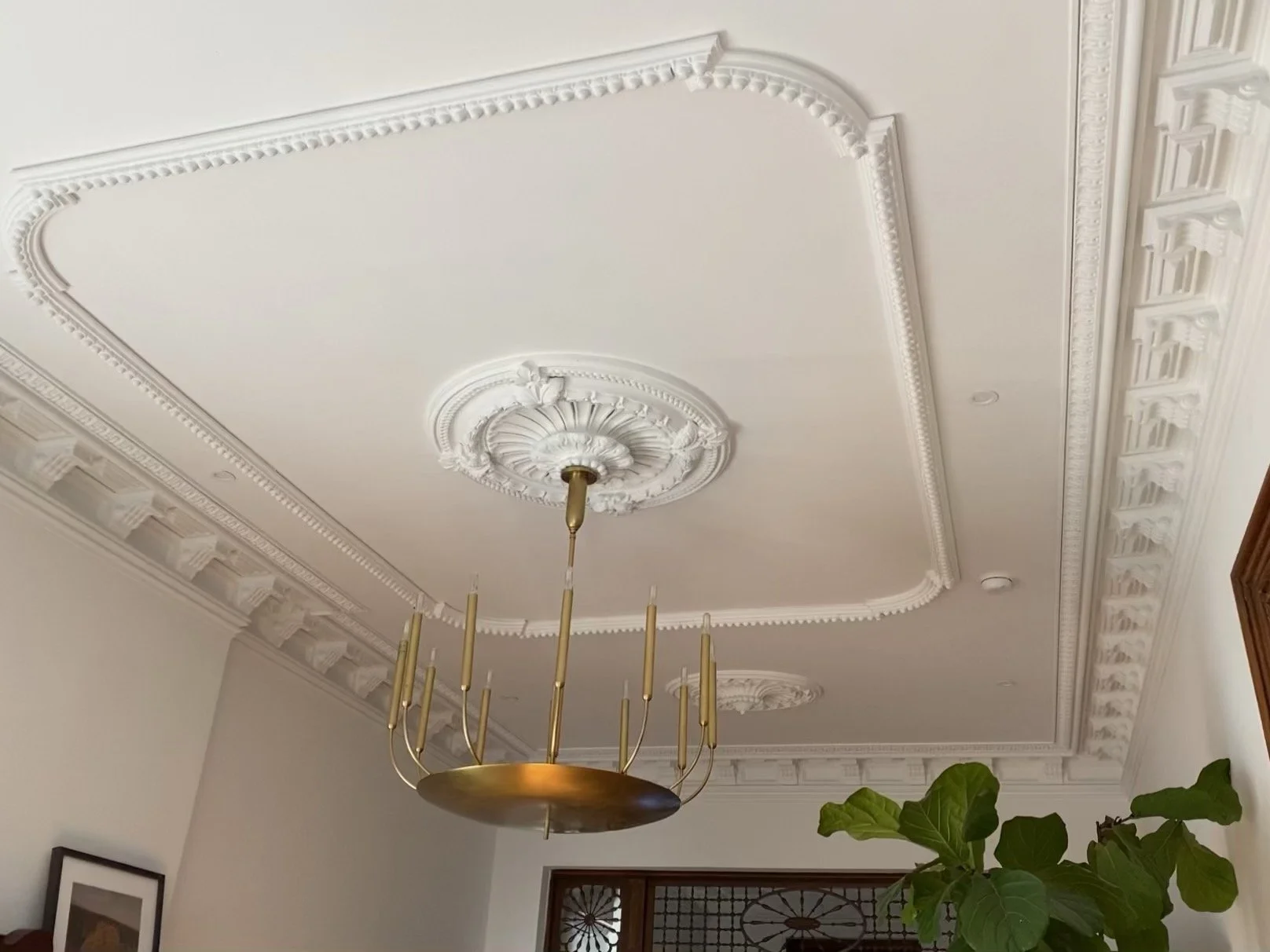 Raul - 037A47EF-99A1-4B6B-B4DD-5E58681548CC.jpeg